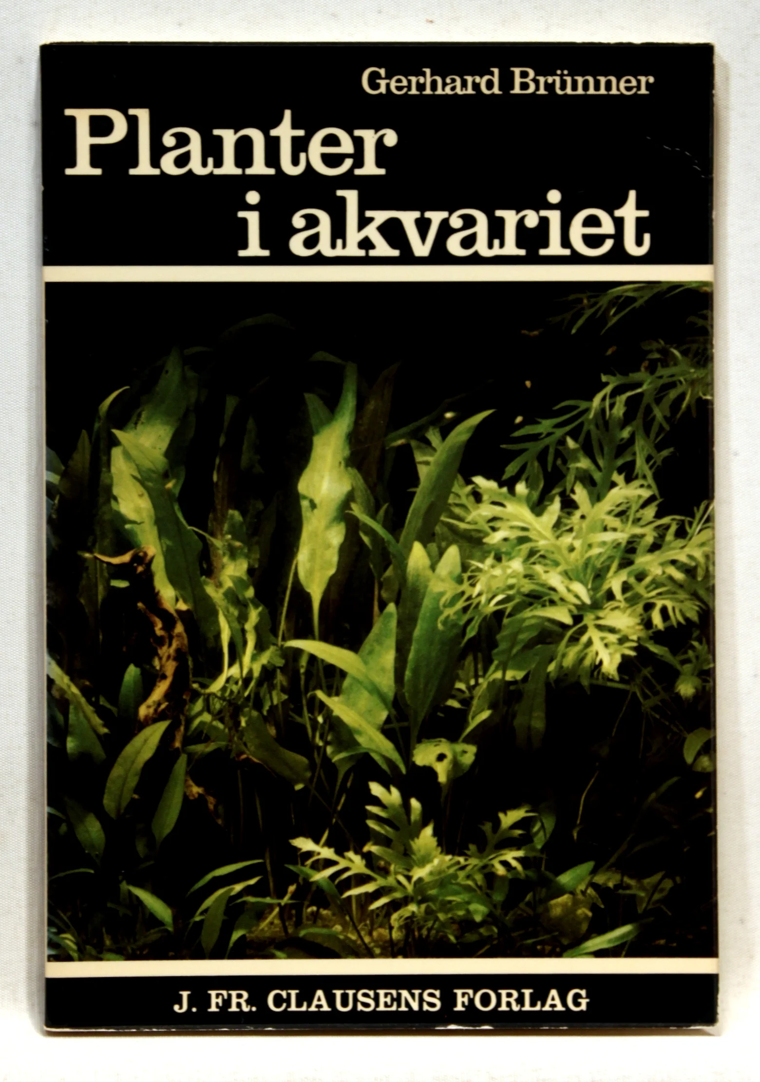 Planter i akvariet