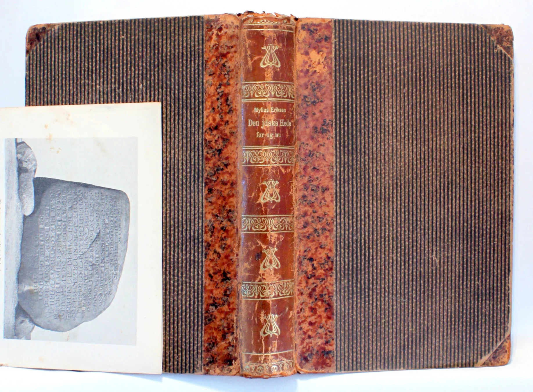 Den Jydske hede Før og Nu. Studier og Skildringer