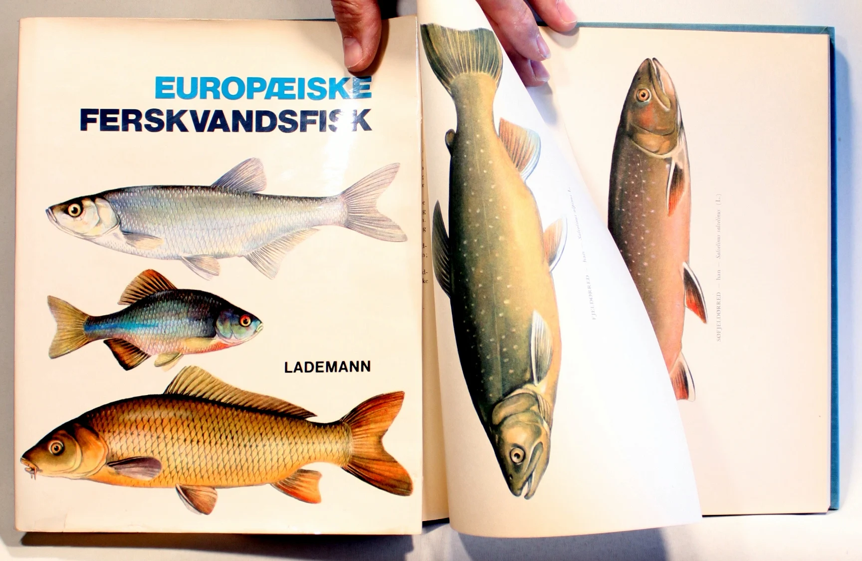 Europæiske ferskvandsfisk