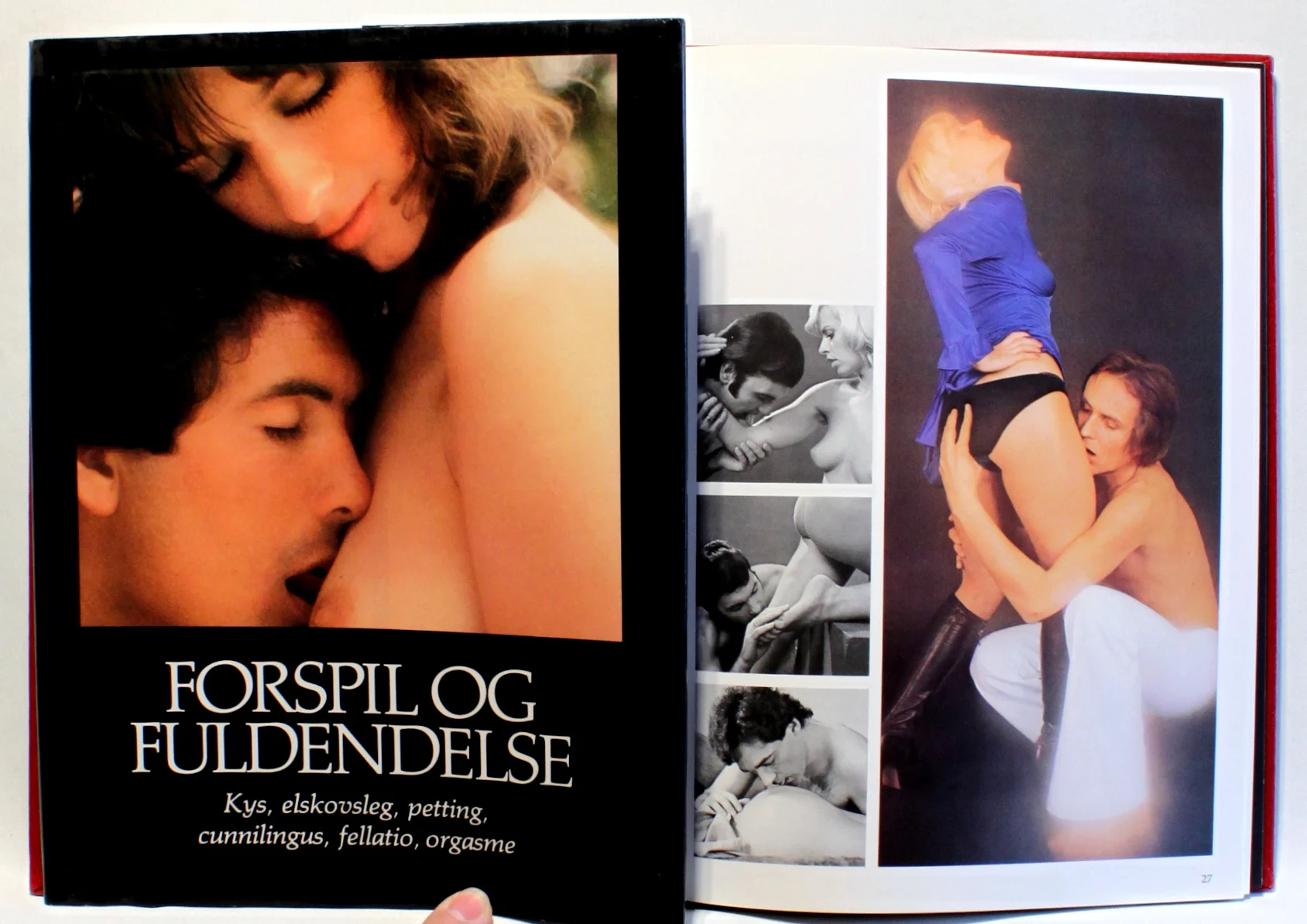 Forspil og fuldendelse. Kys, elskovsleg, petting, cunnilingus, fellatio, orgasme