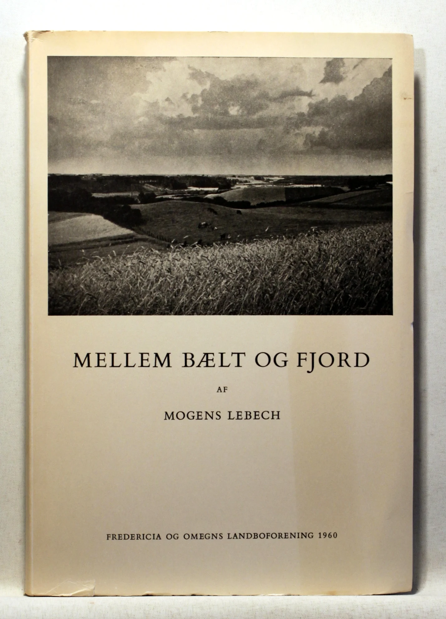 Mellem bælt og fjord