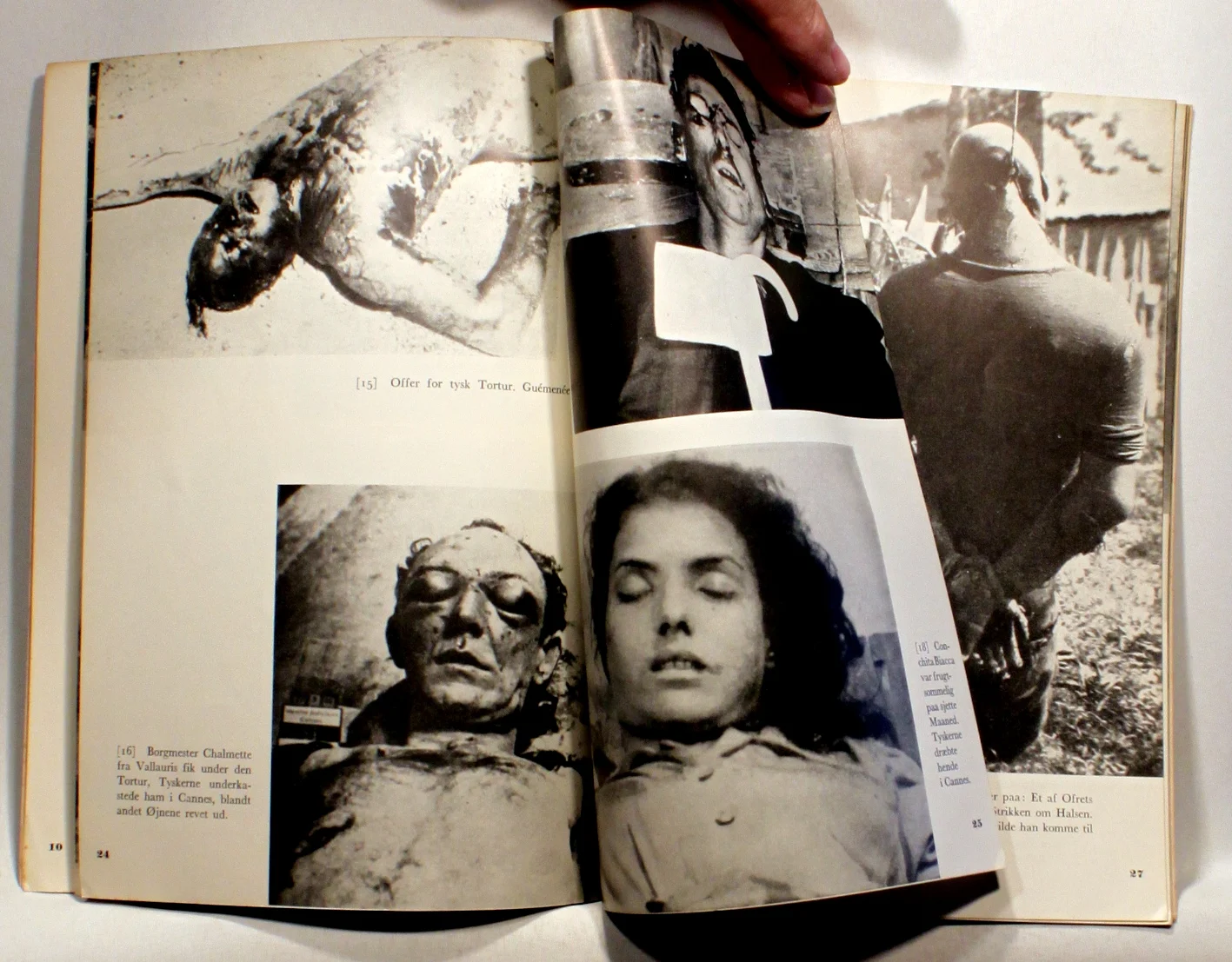 Barbarerne i Frankrig