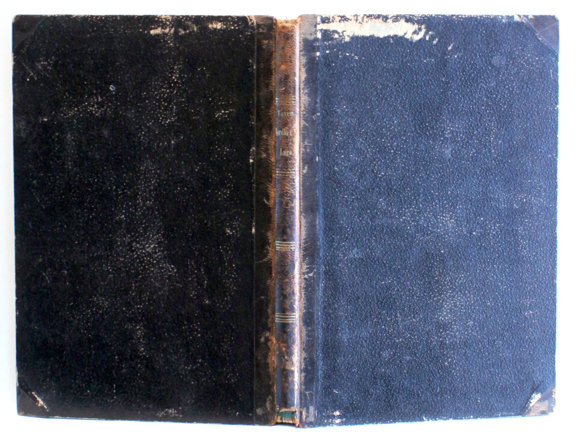 Kortfattet Jordbundslære med særligt Hensyn til den danske Jordbund