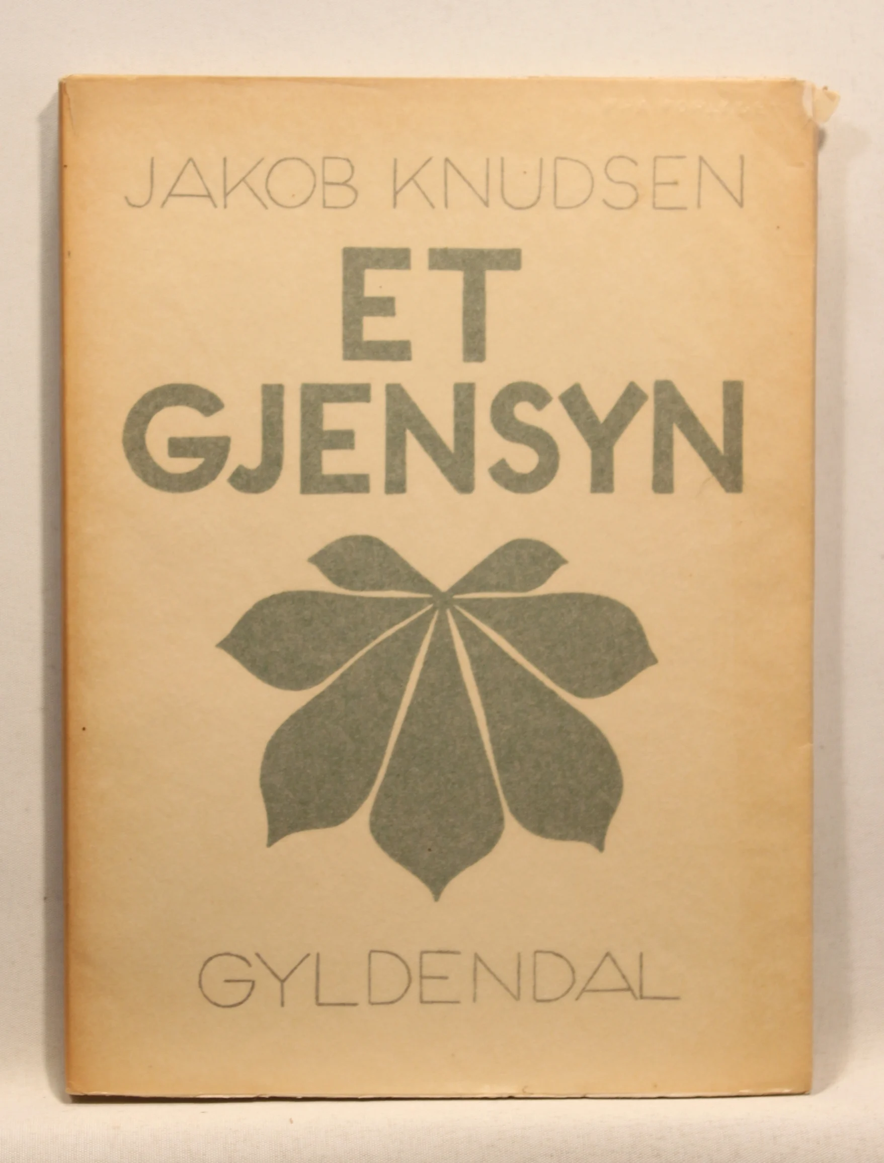 Et gjensyn