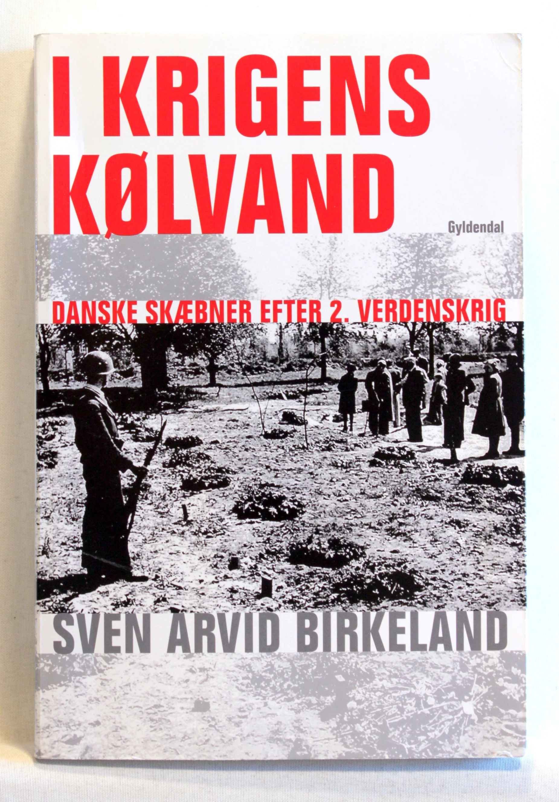 I krigens kølvand. Danske skæbner efter 2. verdenskrig