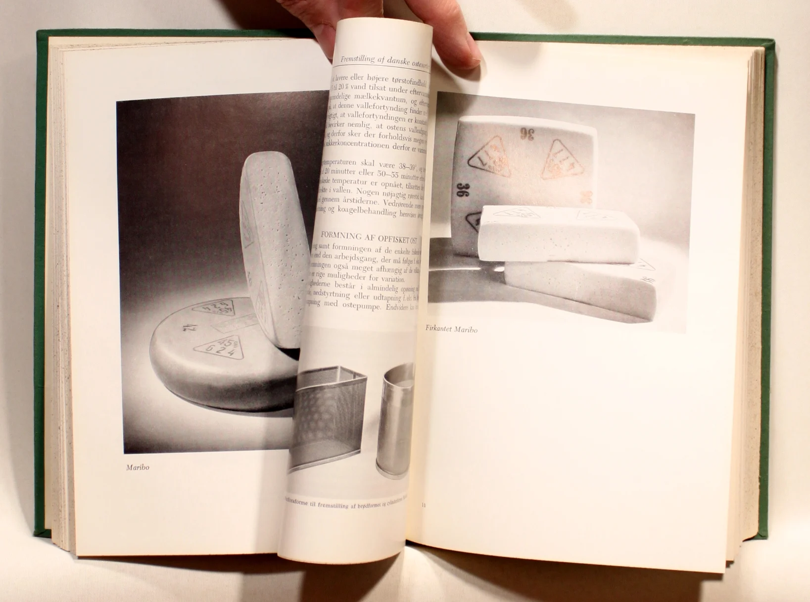 Fremstilling af Danske Ostesorter