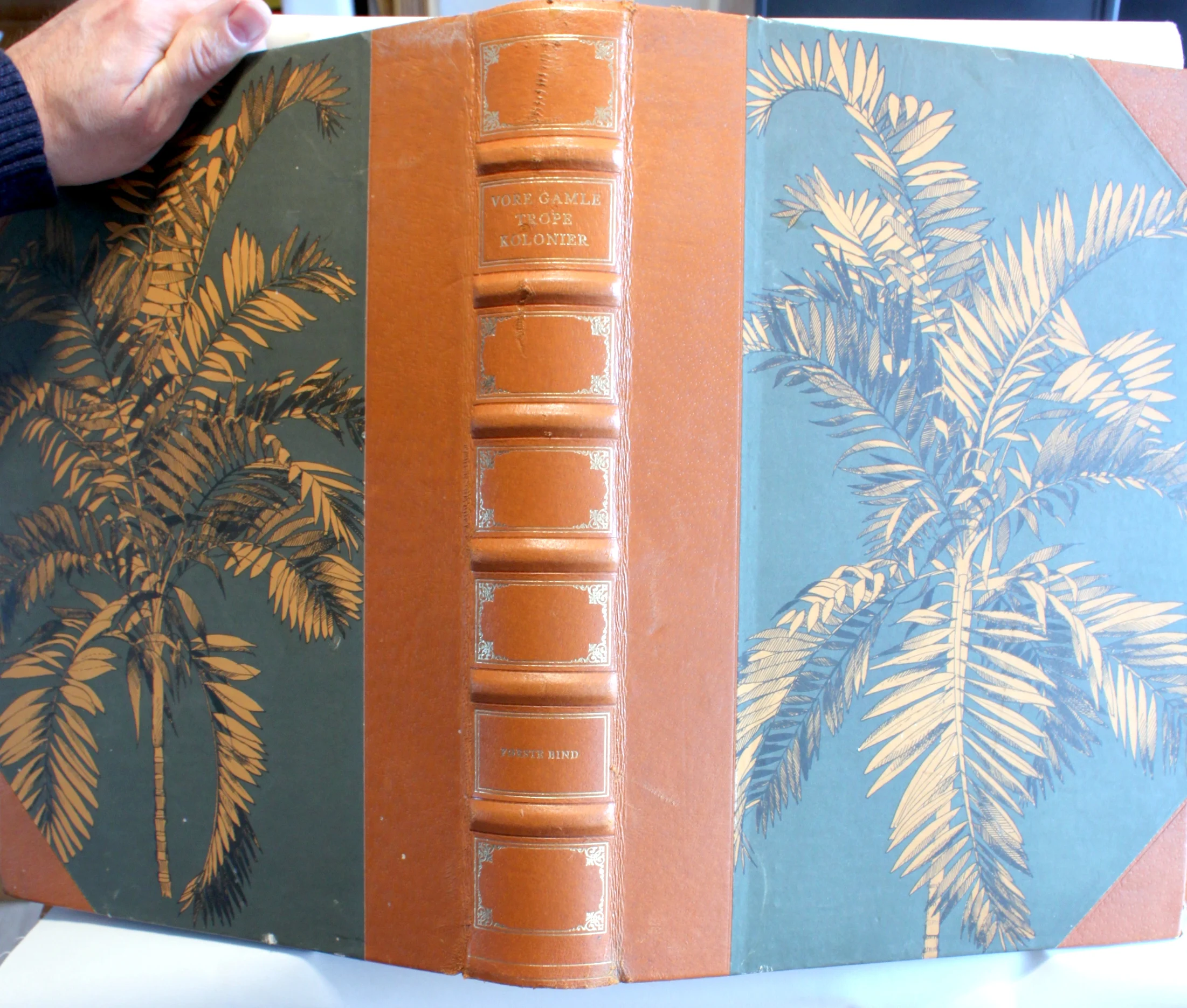 Vore gamle tropekolonier. Dansk Ostindien – Guldkysten