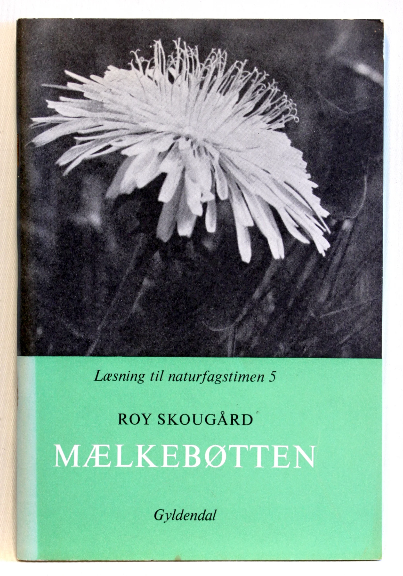 Mælkebøtten og andre nytteplanter