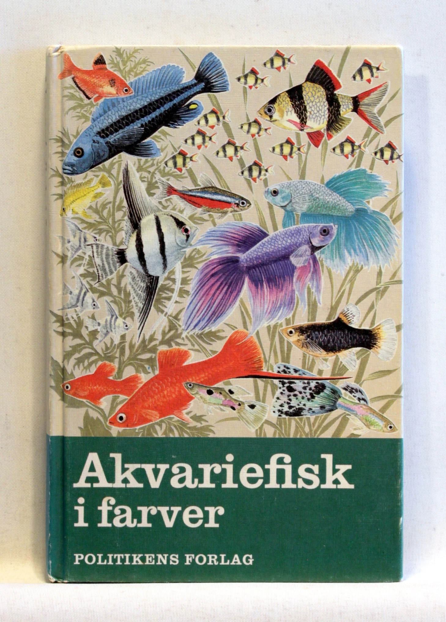 Akvariefisk i farver