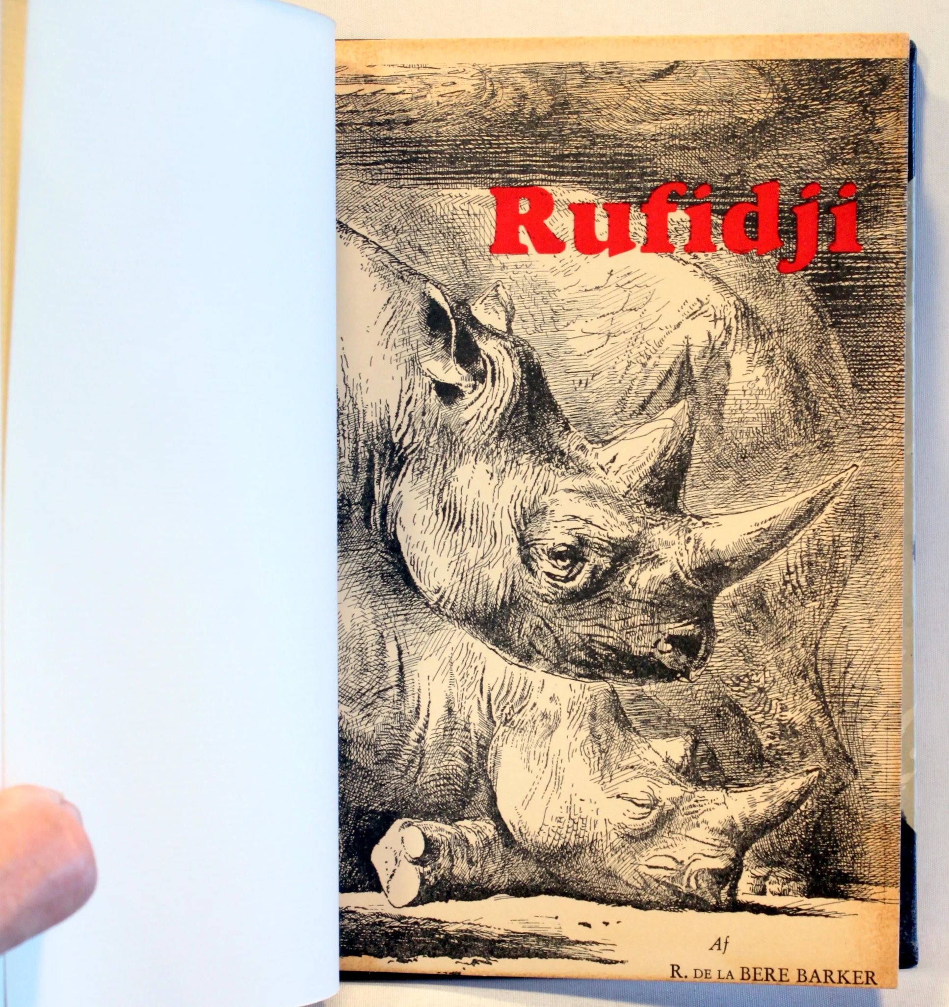 Rufidji. En eneboers lystige liv