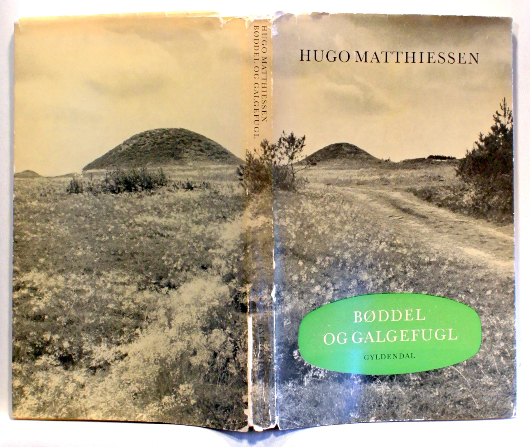 Bøddel og Galgefugl. Et kulturhistorisk forsøg