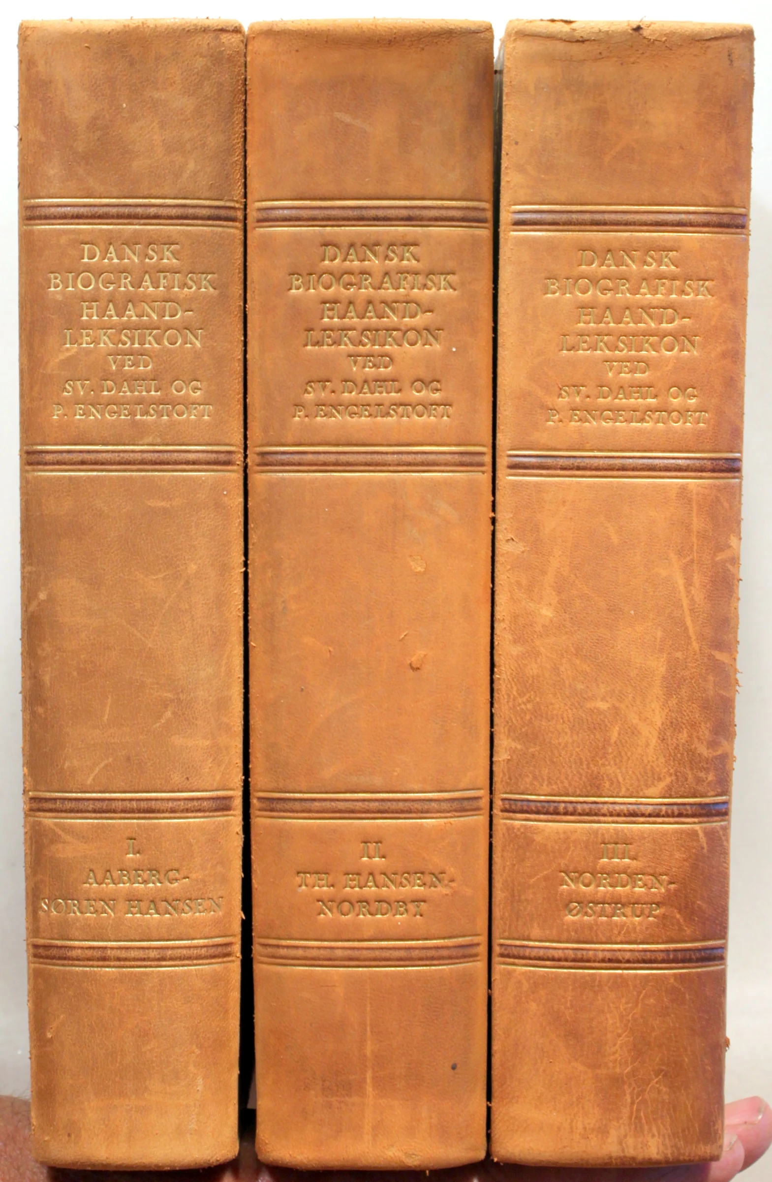 Dansk Biografisk Haandleksikon. Bind 1-3