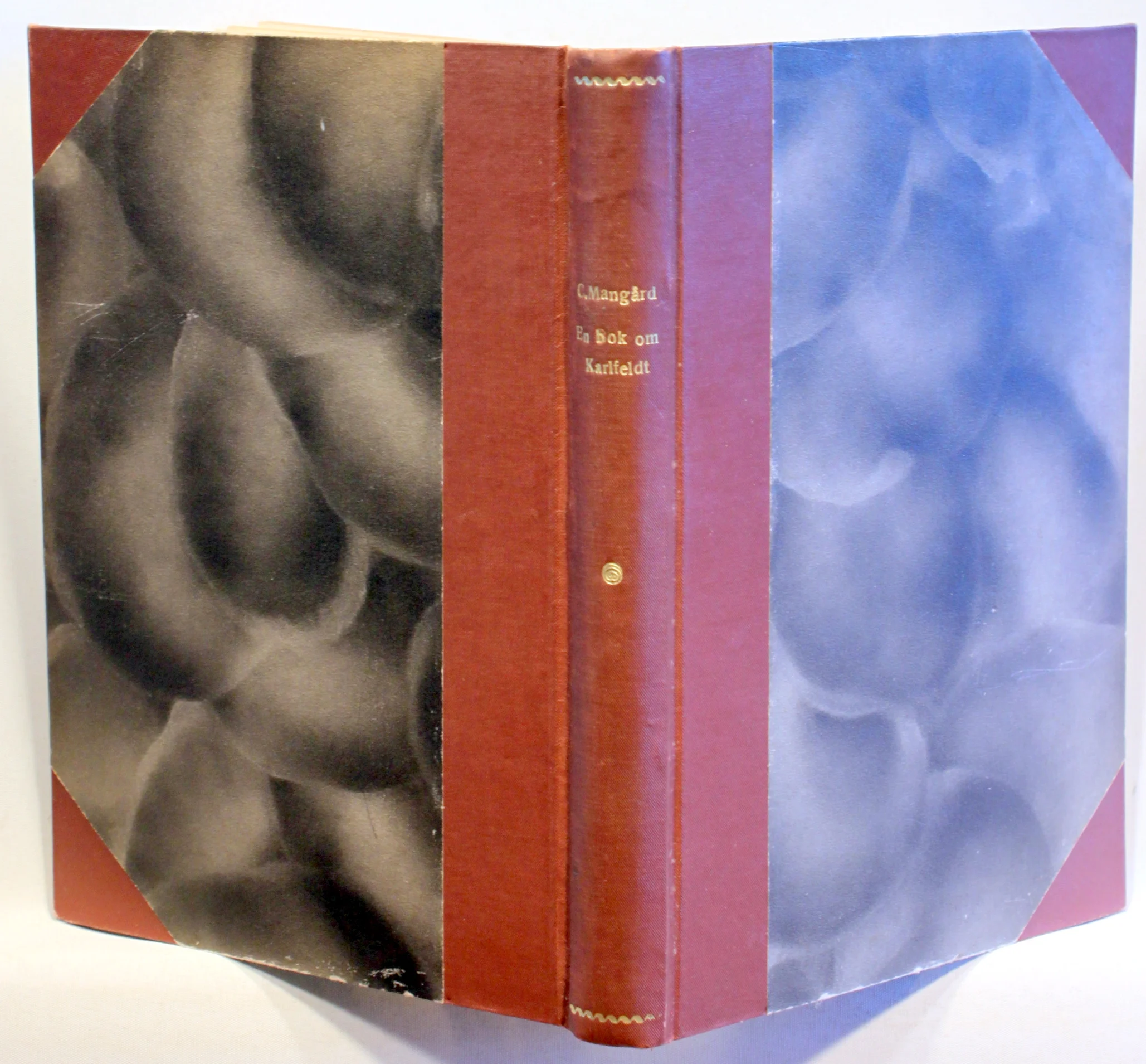 En bok om Karlfeldt. Drag ur hans liv