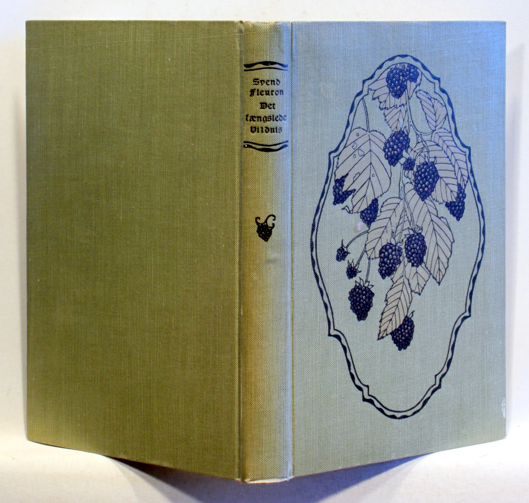 Det Fængslede Vildnis