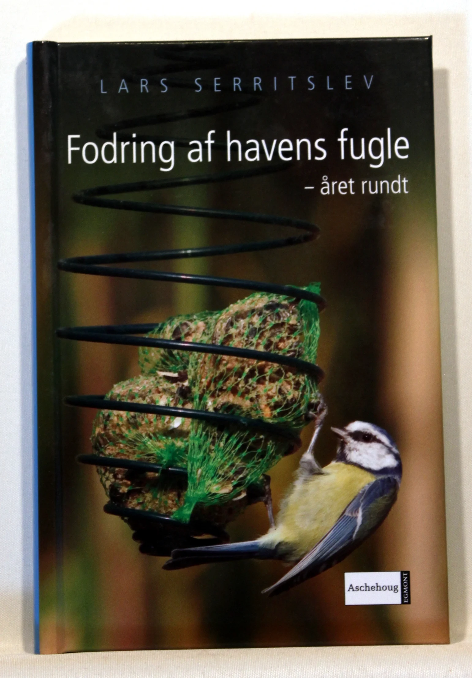 Fodring af havens fugle – året rundt