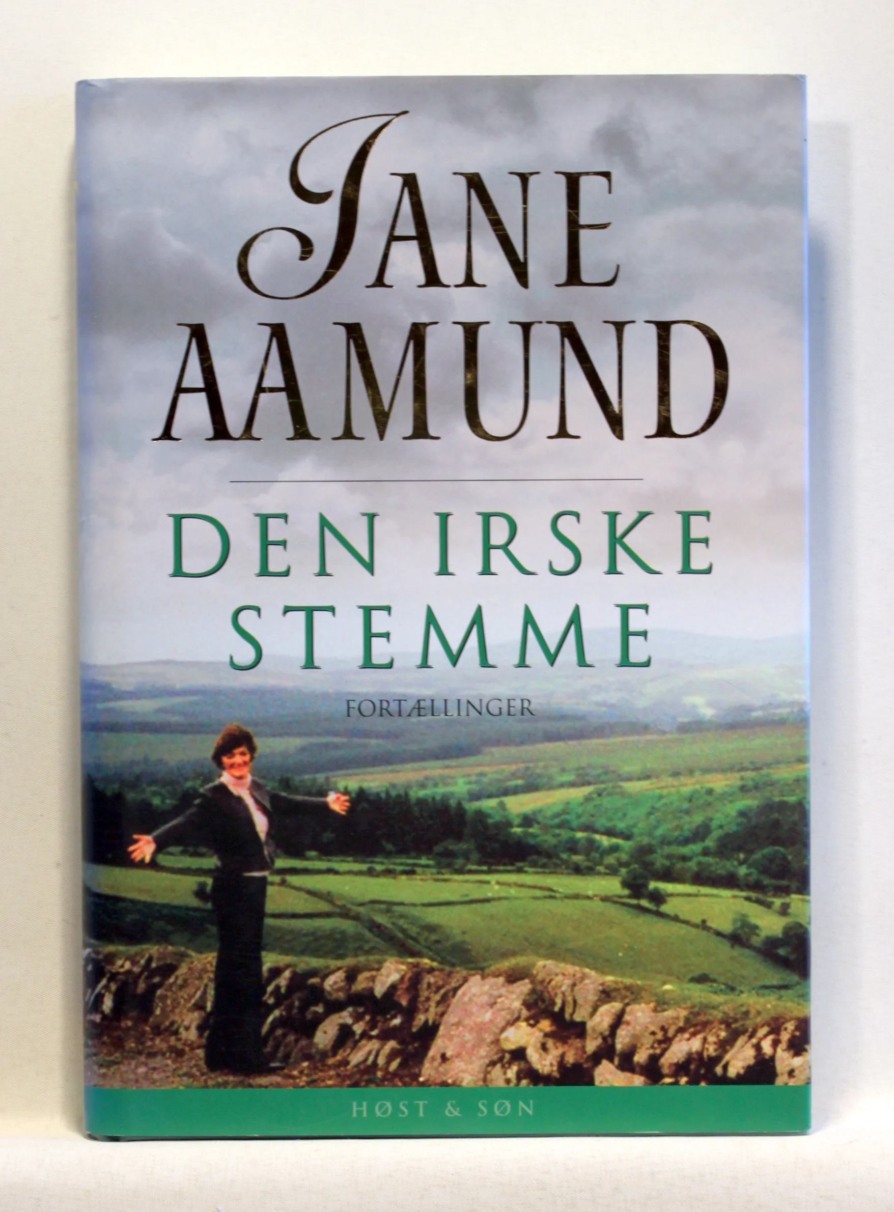 Den irske stemme