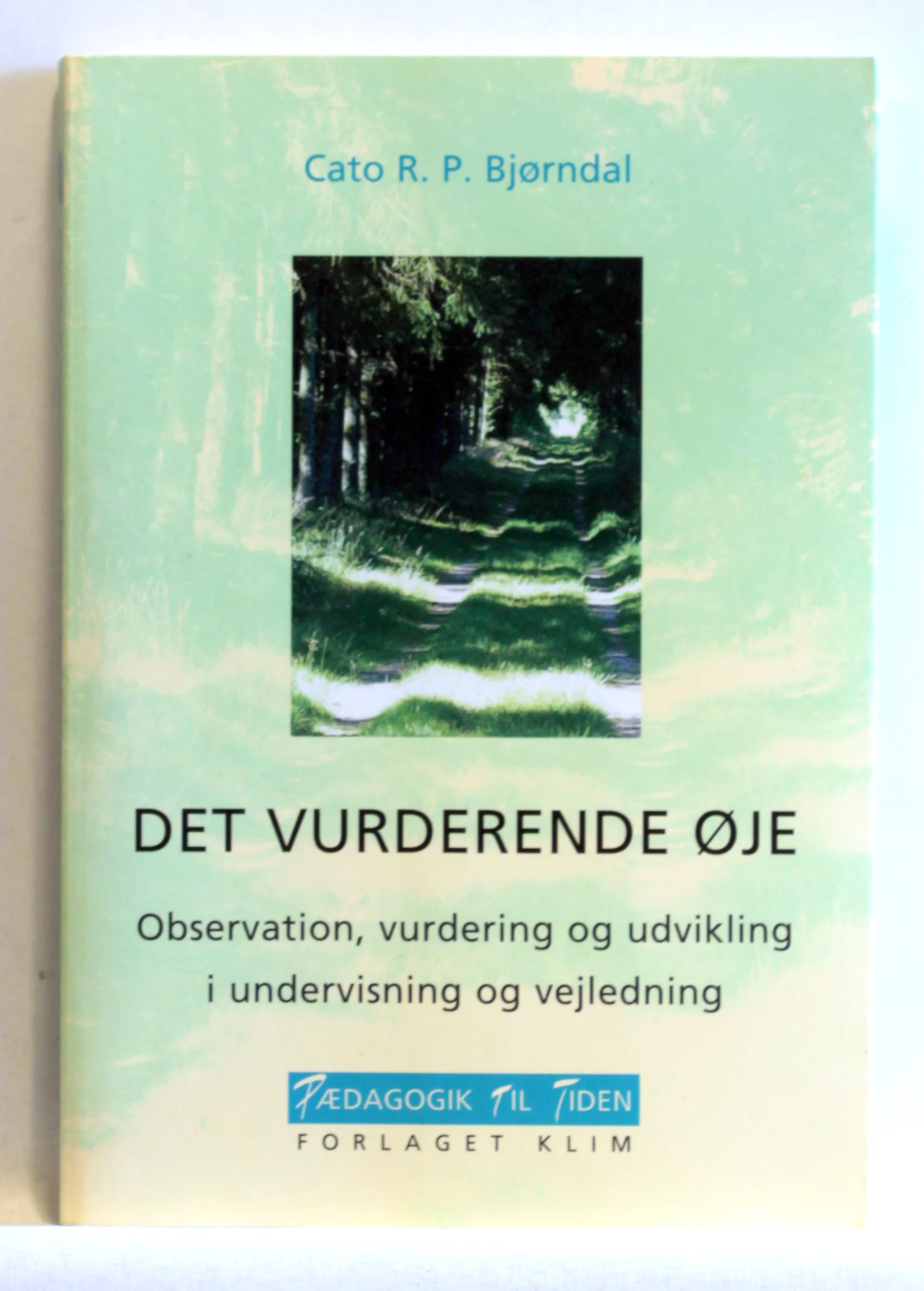Det vurderende øje. Observation, vurdering og udvikling i undervisning og vejledning