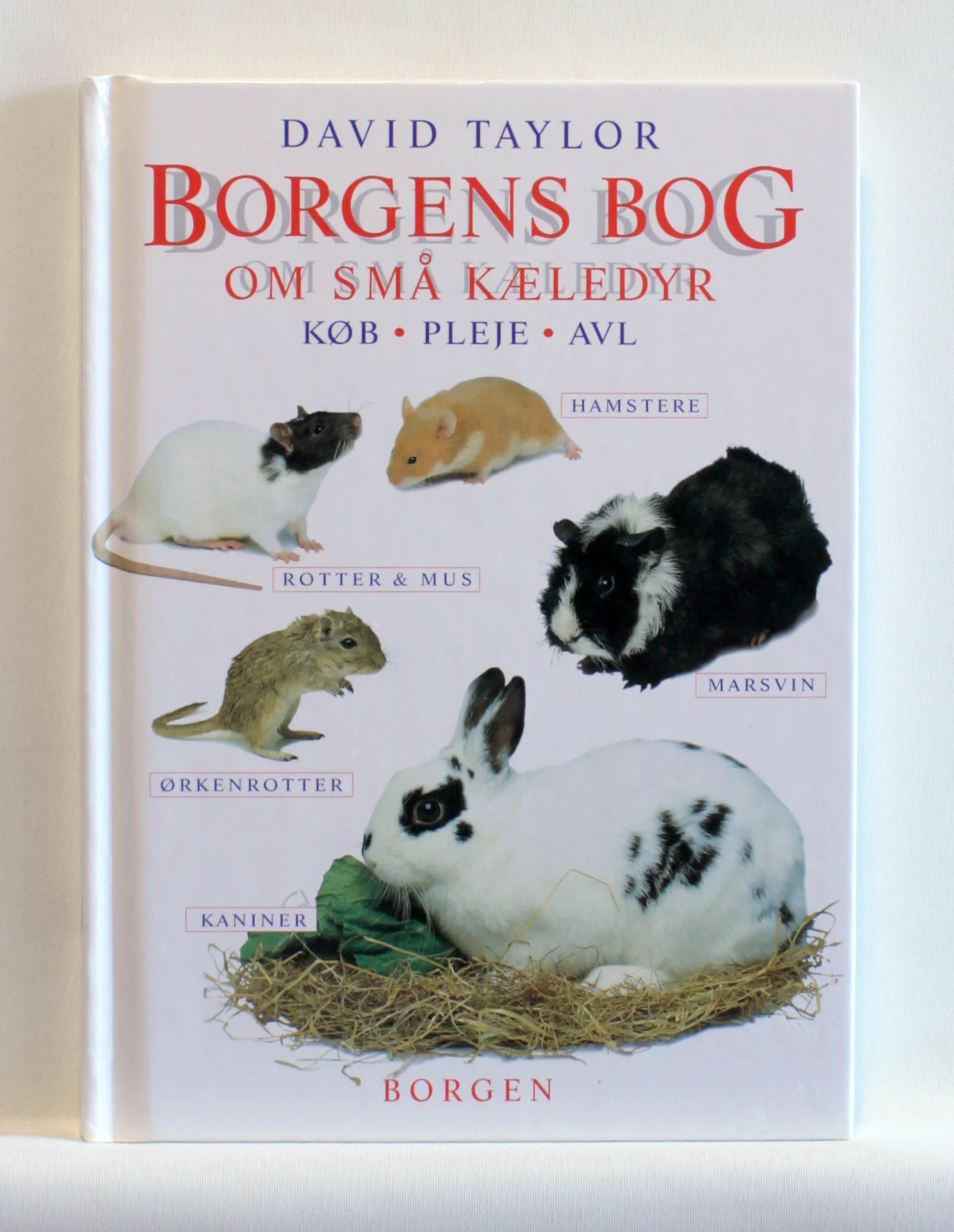 Borgens bog om små kæledyr