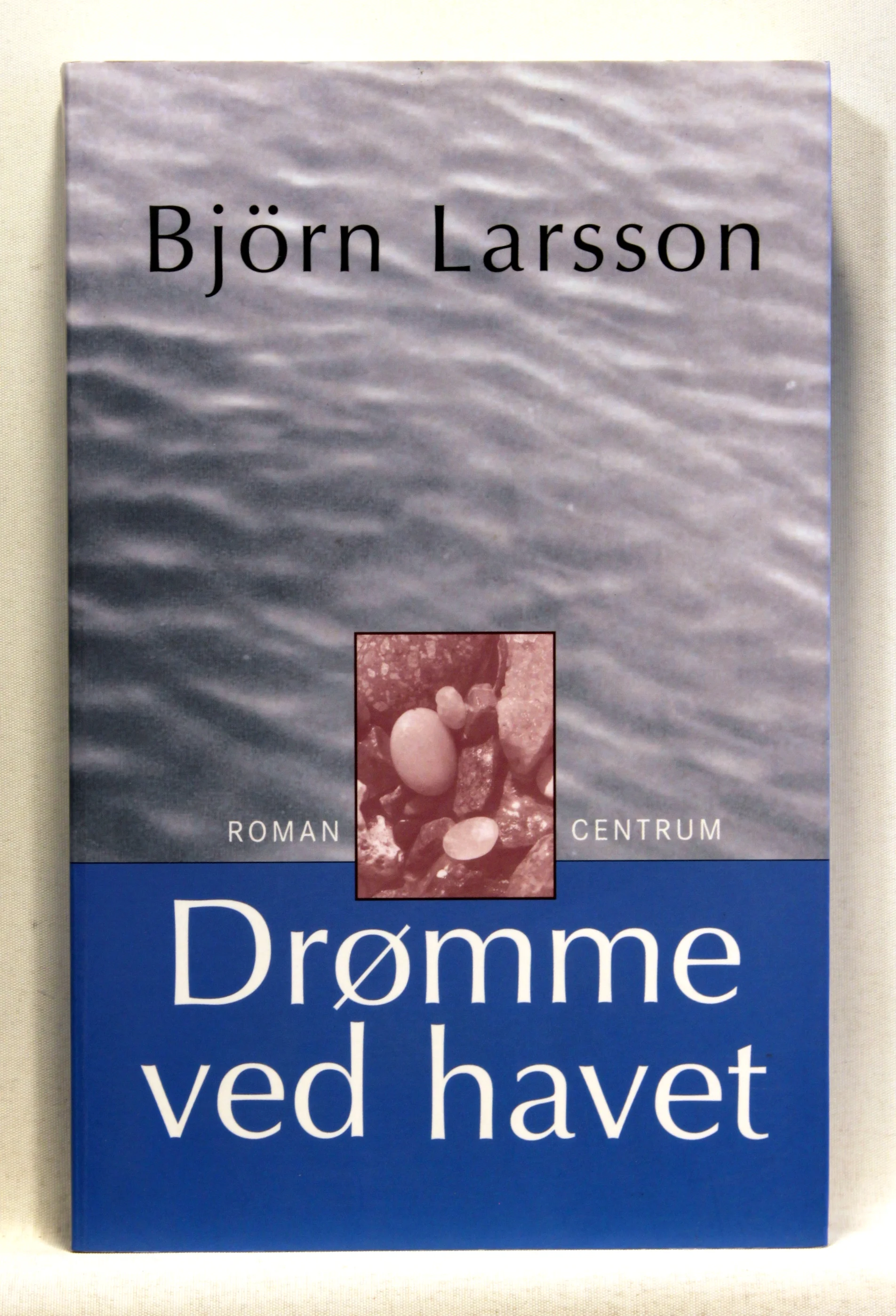 Drømme ved havet