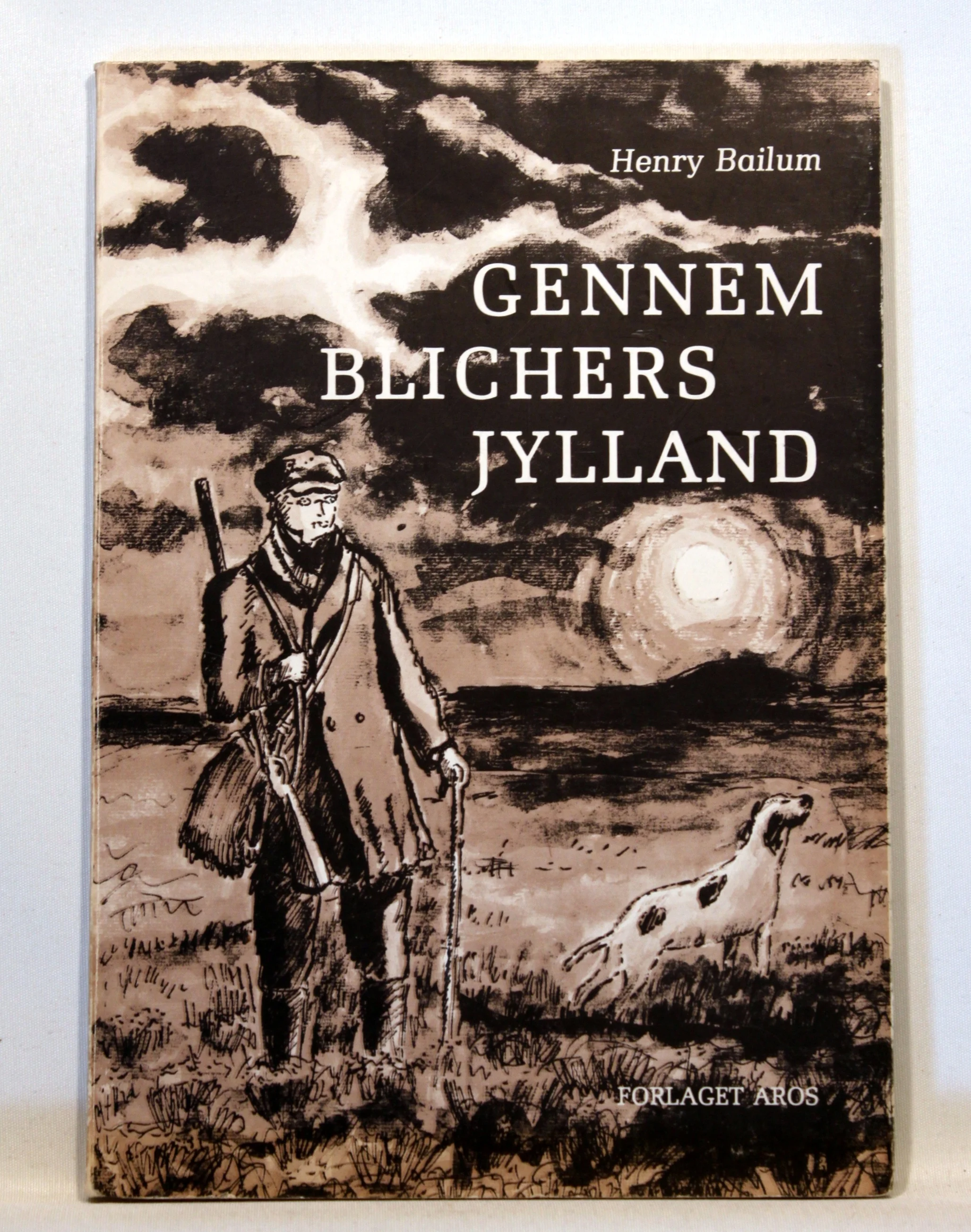 Gennem Blichers Jylland