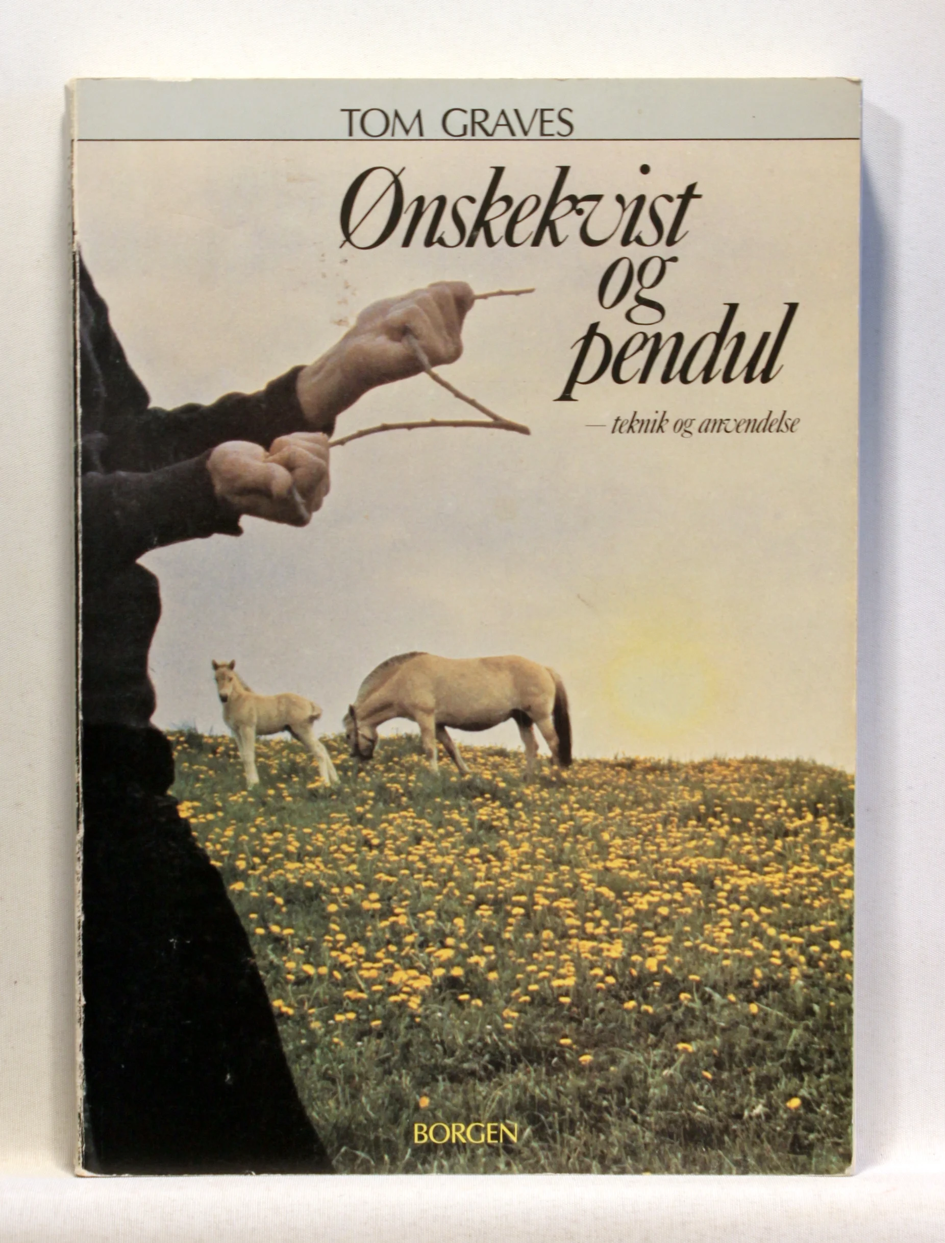Ønskekvist og pendul. Teknik og anvendelse