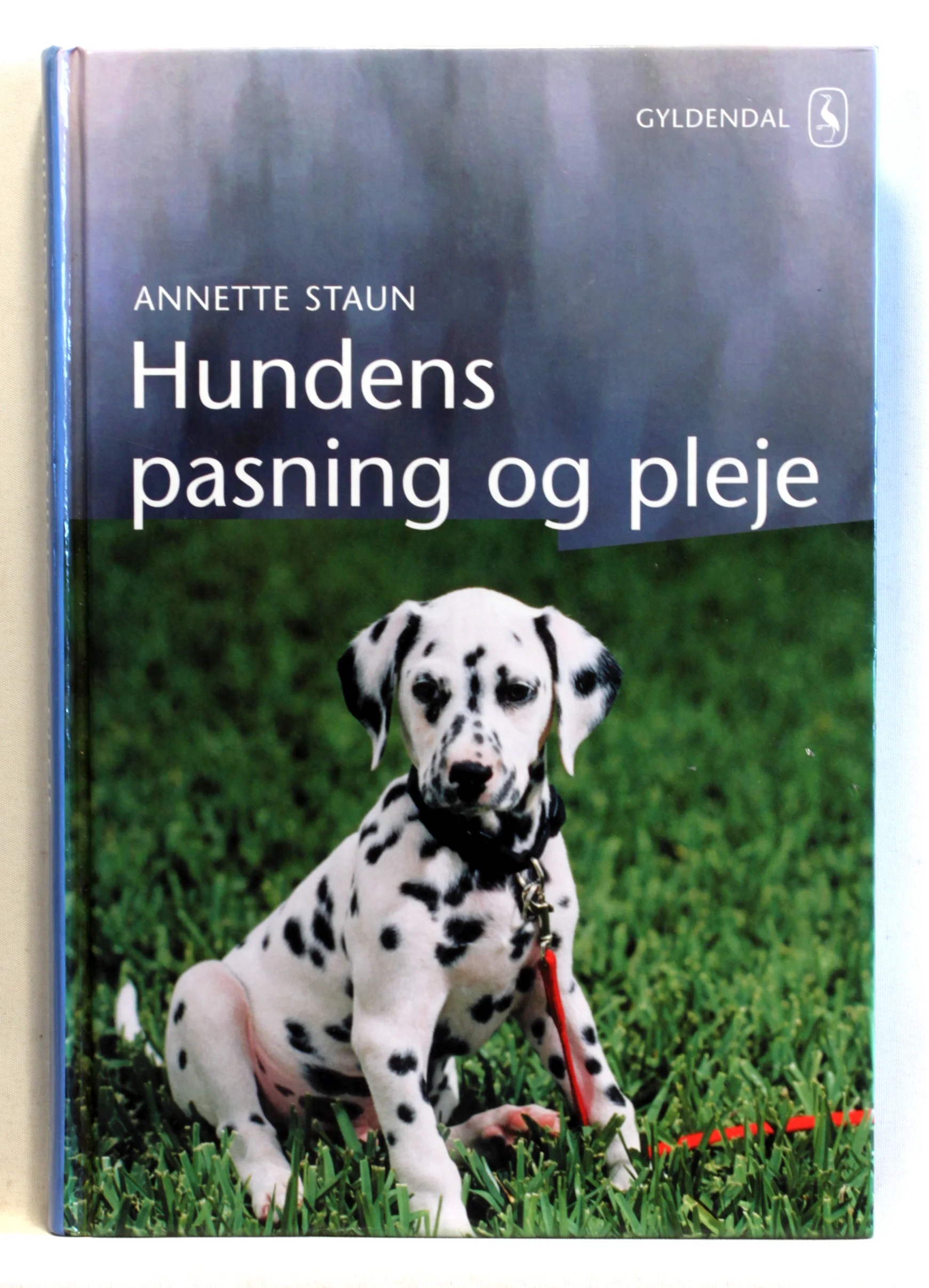 Hundens pasning og pleje