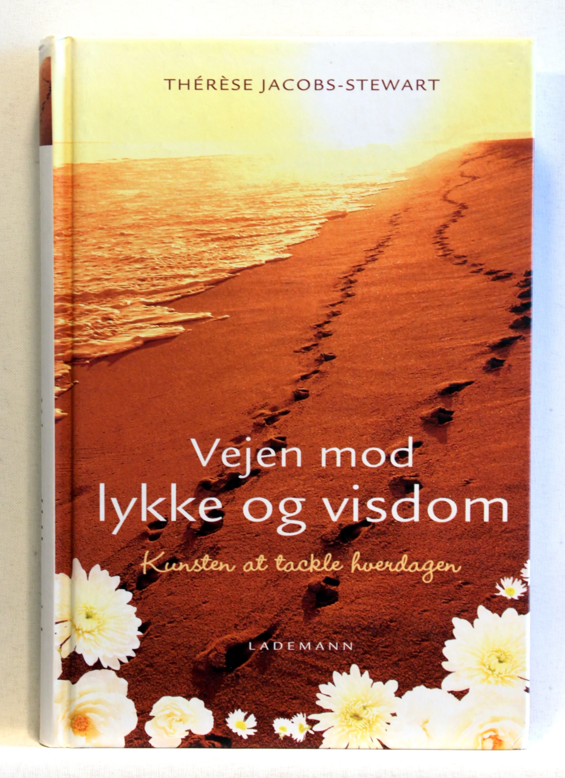 Vejen mod lykke og visdom : kunsten at tackle hverdagen