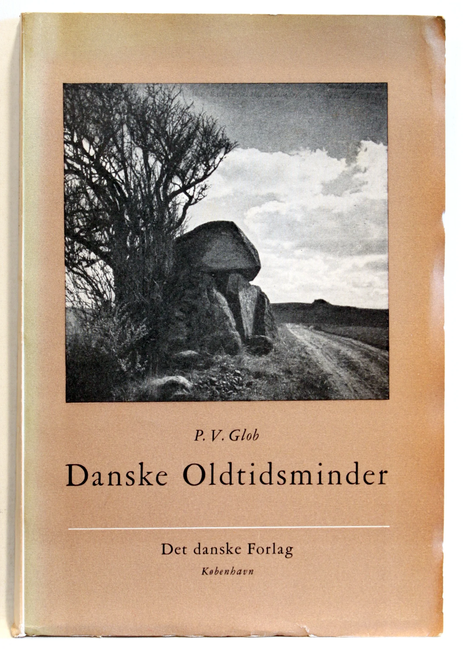 Danske Oldtidsminder