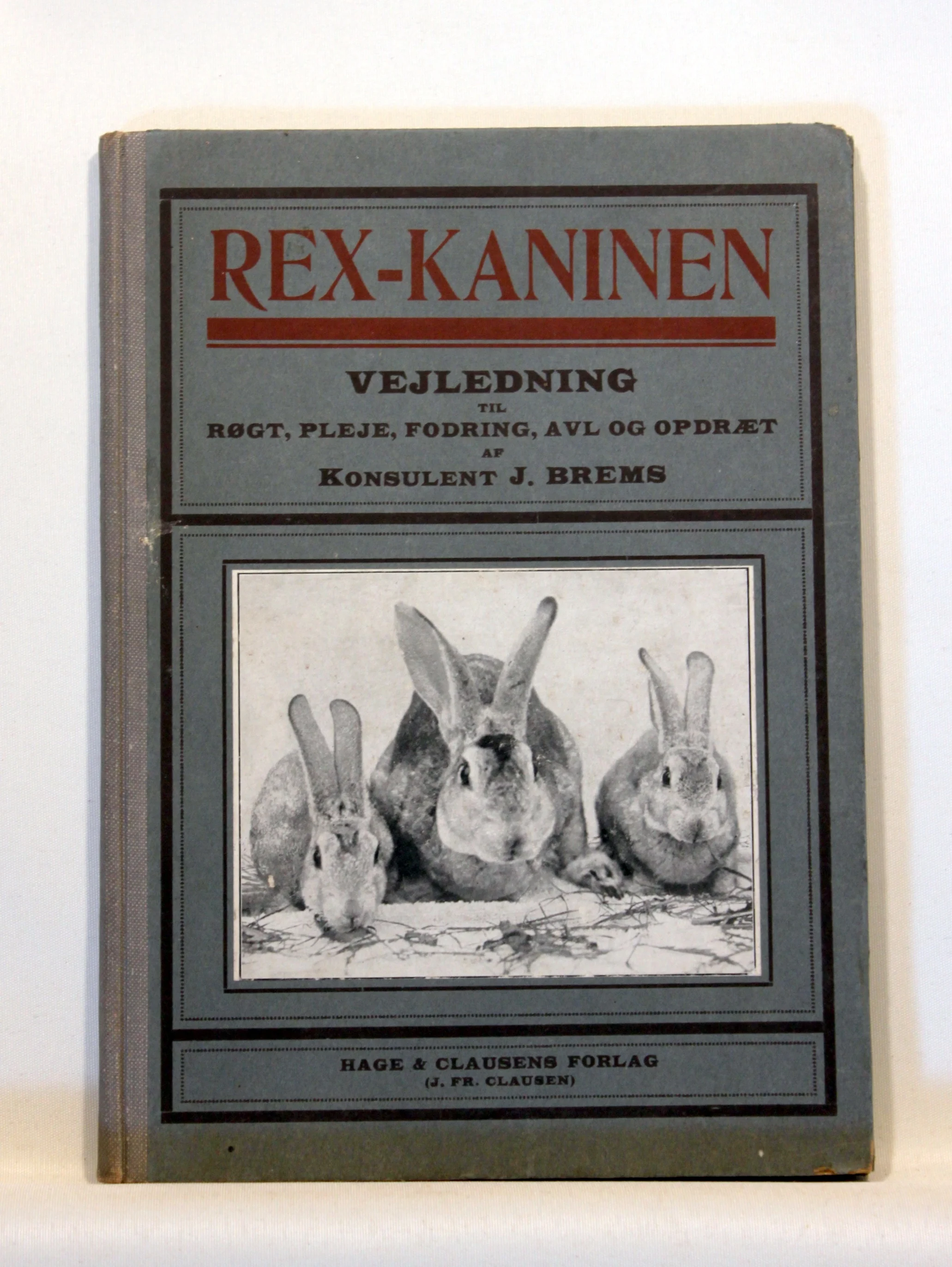 Rex-kaninen. Vejledning.