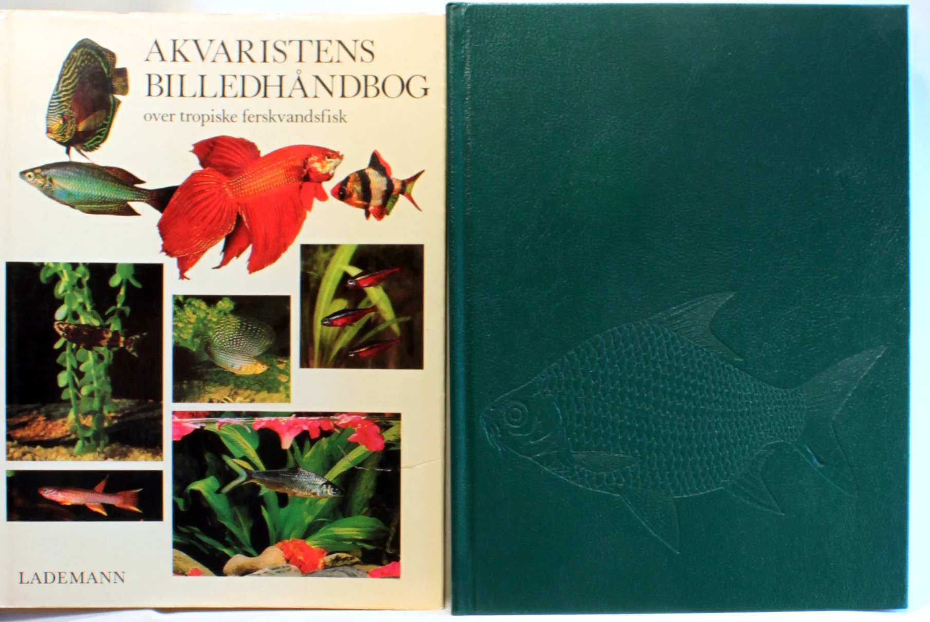 Akvaristens billedhåndbog over tropiske ferskvandsfisk