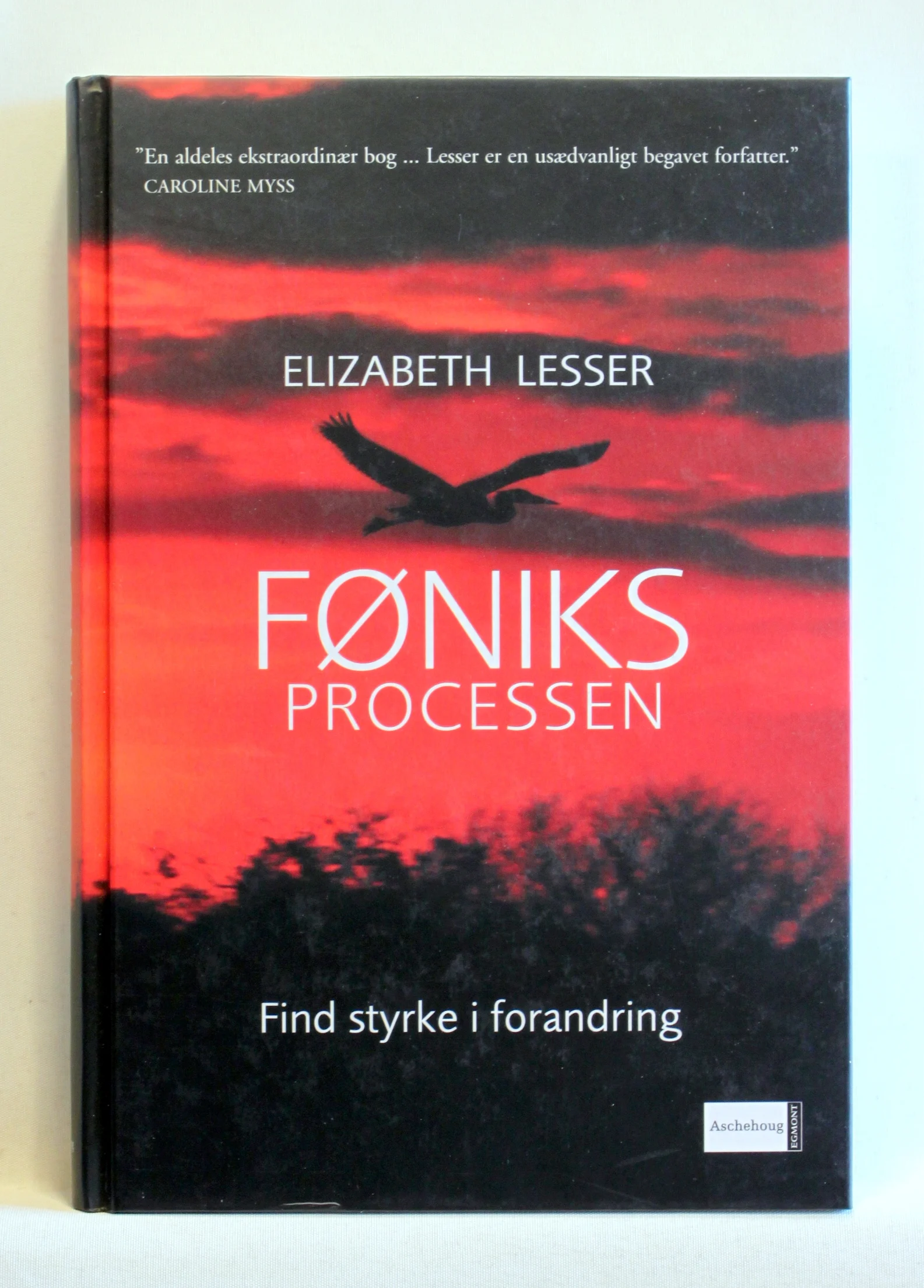 Føniksprocessen. Find styrke i forandring