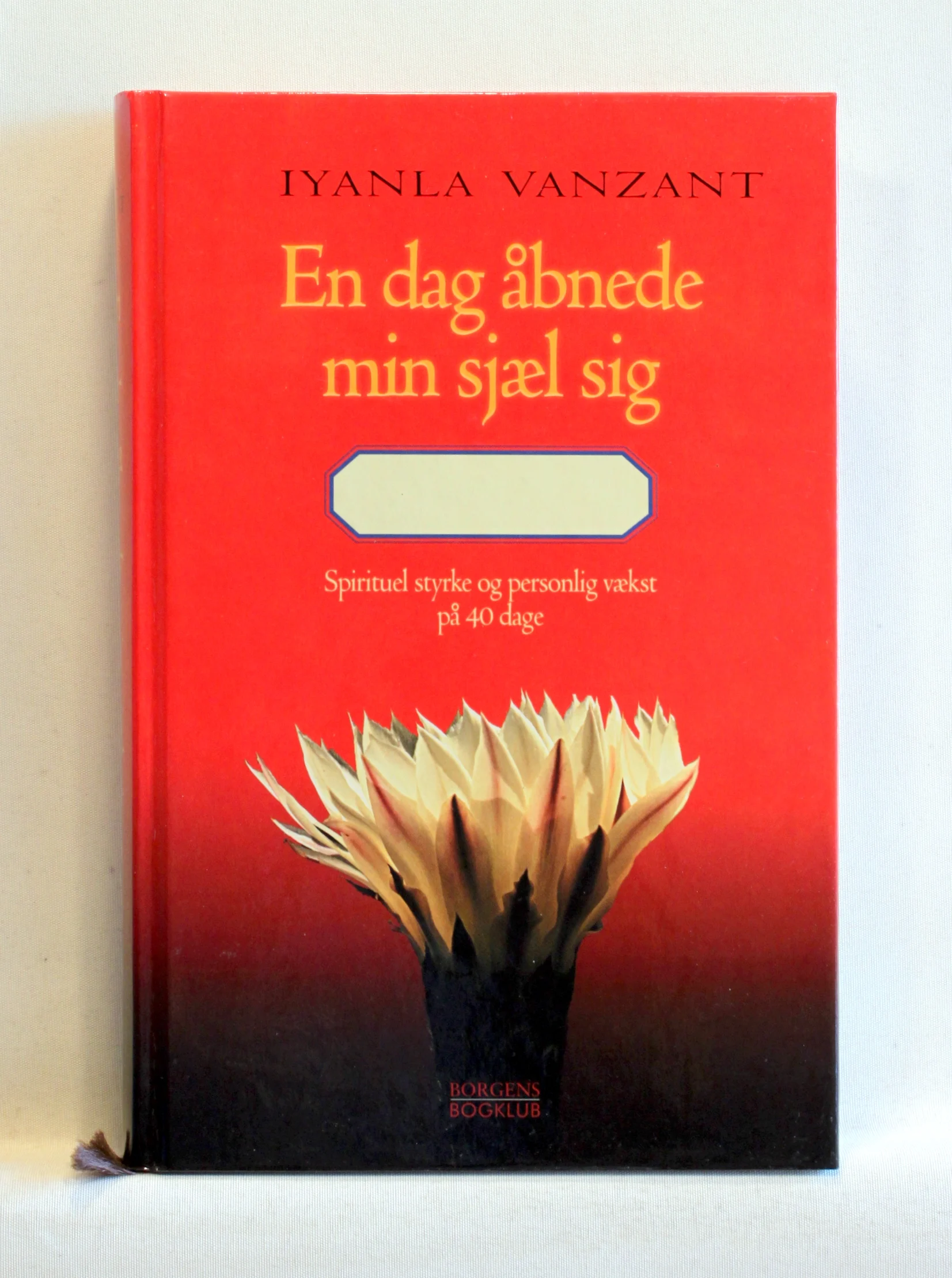 En dag åbnede min sjæl sig. Åndelig styrke og personlig vækst på 40 dage