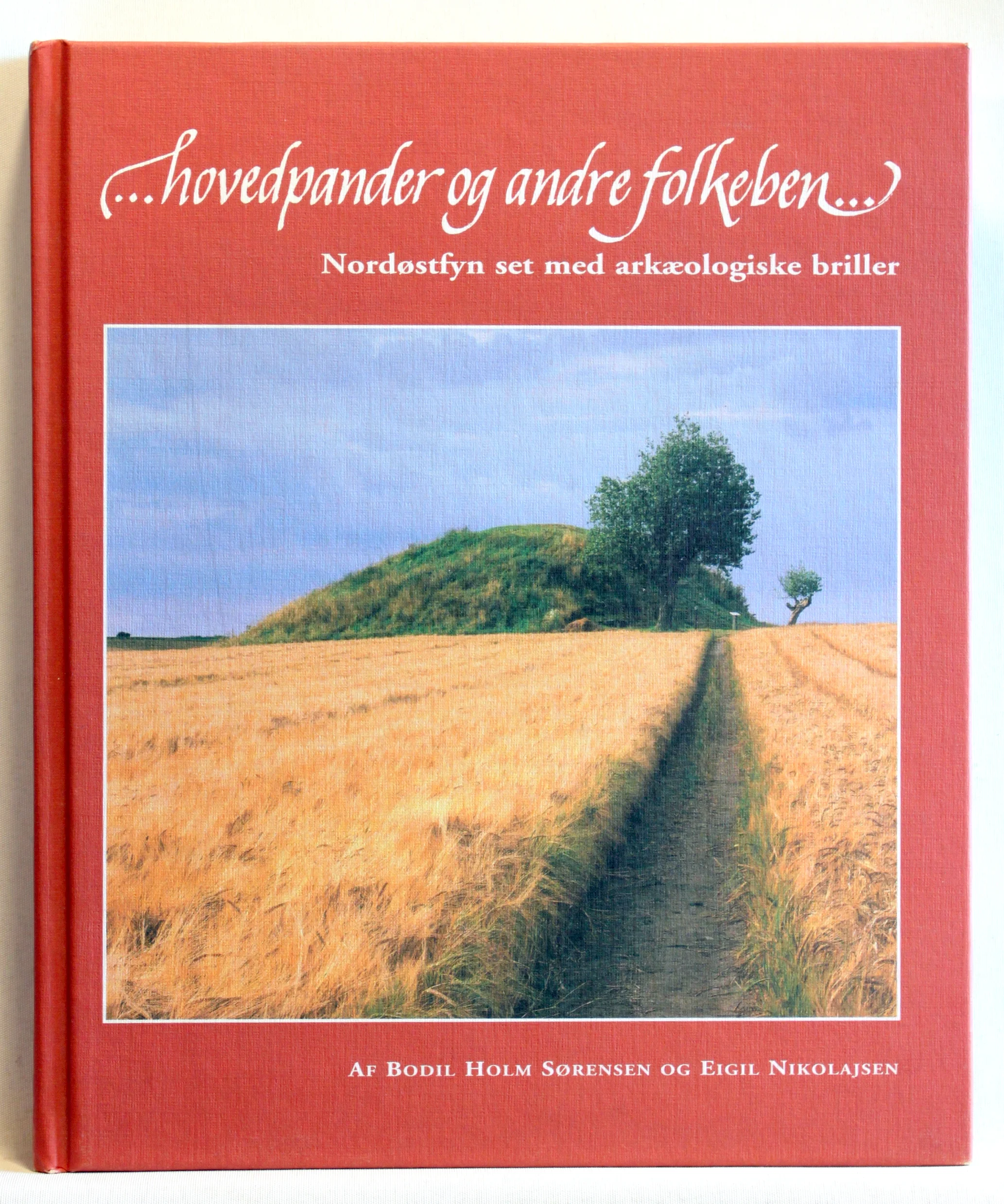 Hovedpander og andre folkeben. Nordøstfyn set med arkæologiske briller