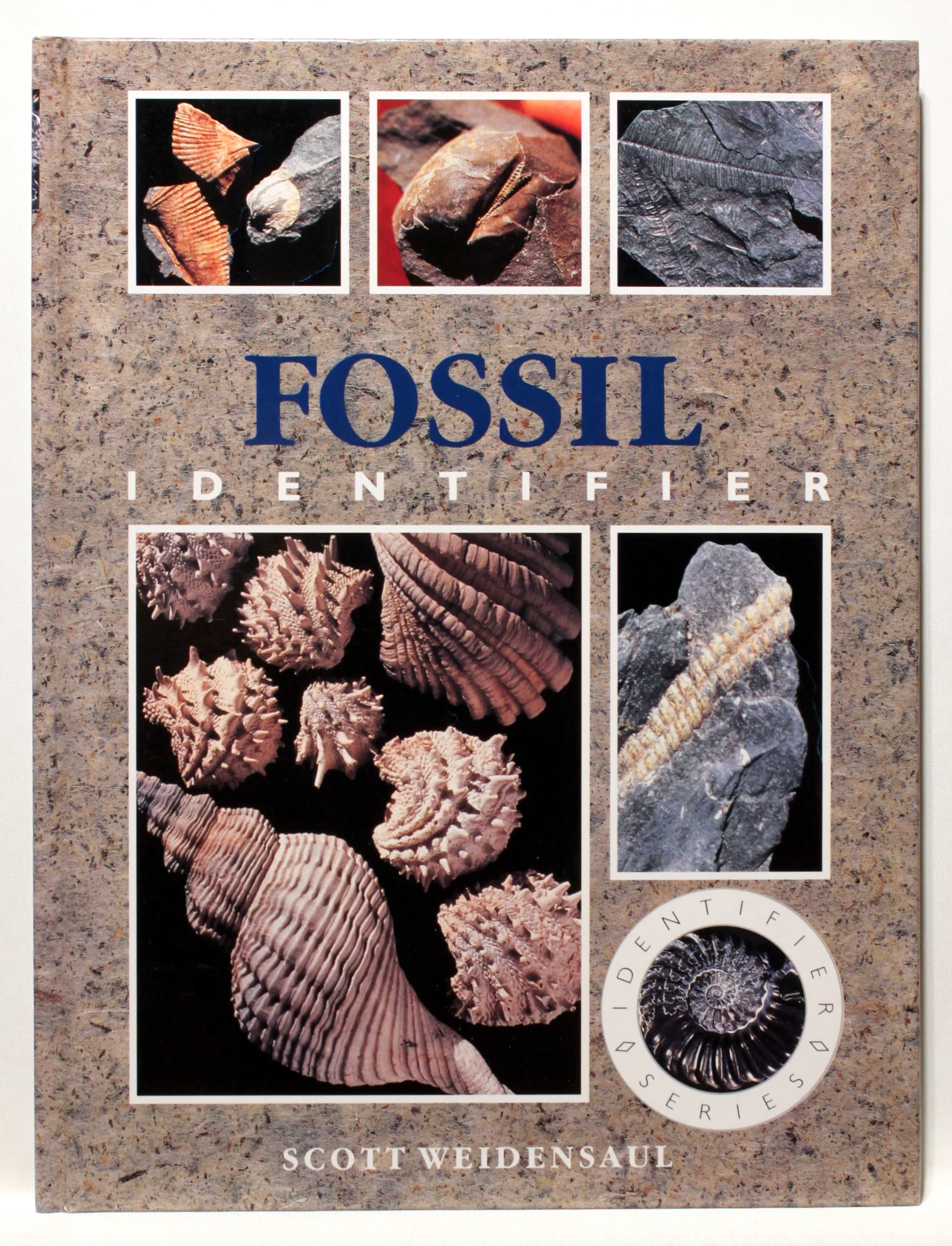 Fossil Identifier