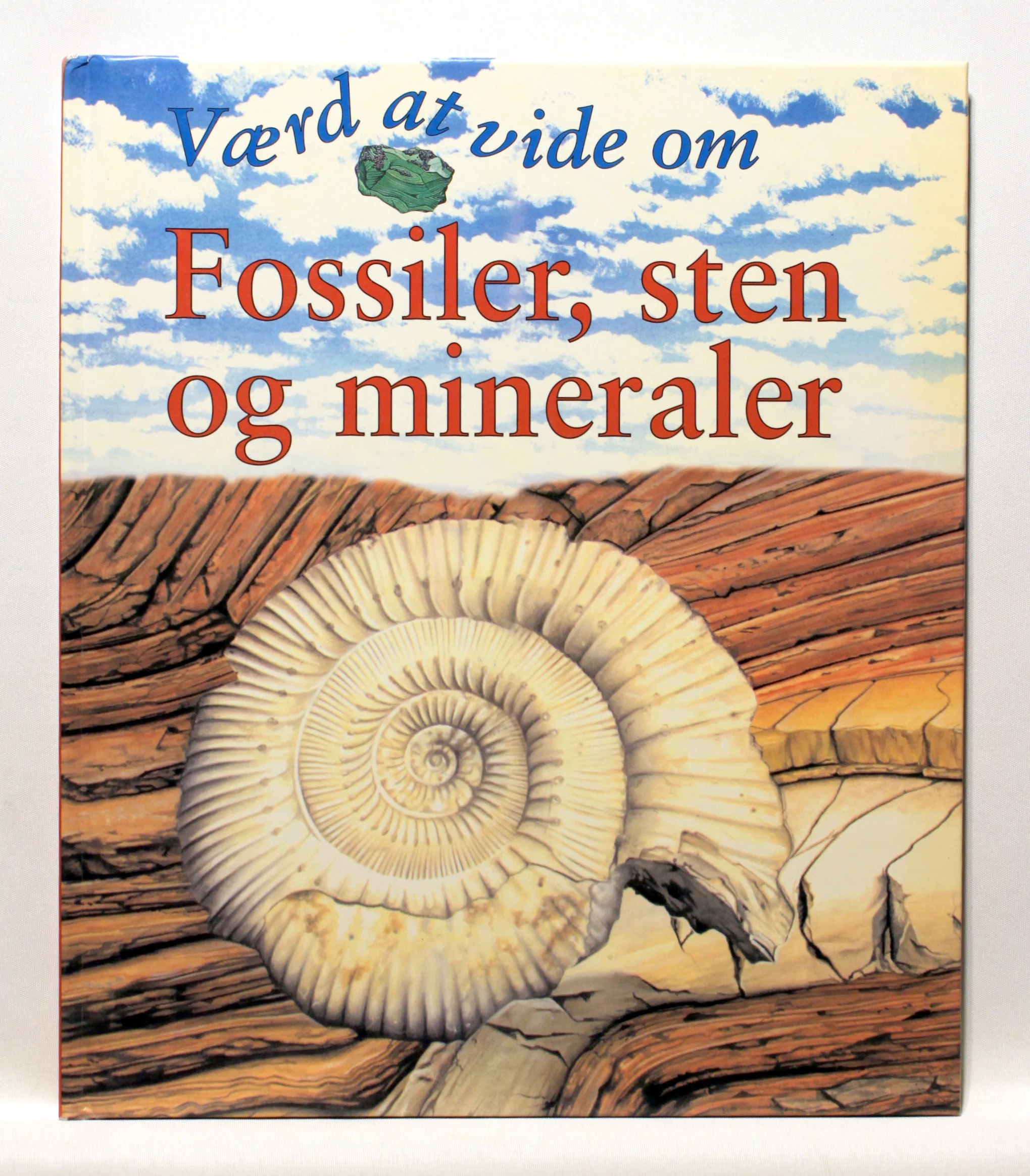 Værd at vide om fossiler, sten og mineraler