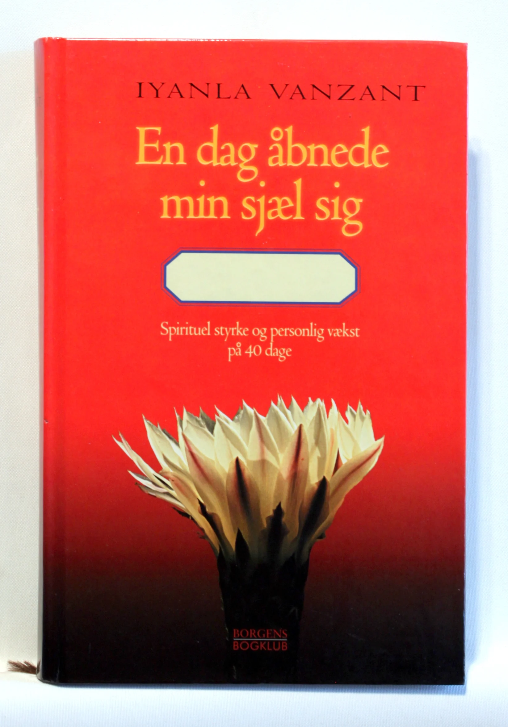 En dag åbnede min sjæl sig. Åndelig styrke og personlig vækst på 40 dage