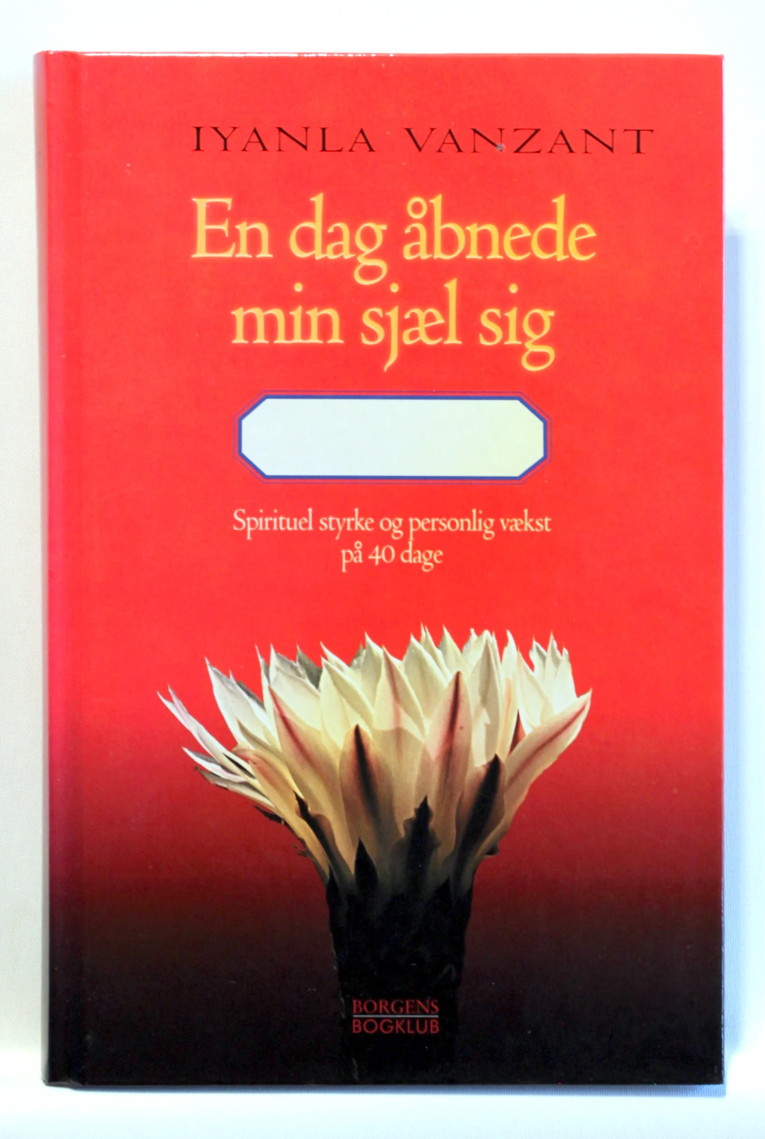 En dag åbnede min sjæl sig. Åndelig styrke og personlig vækst på 40 dage