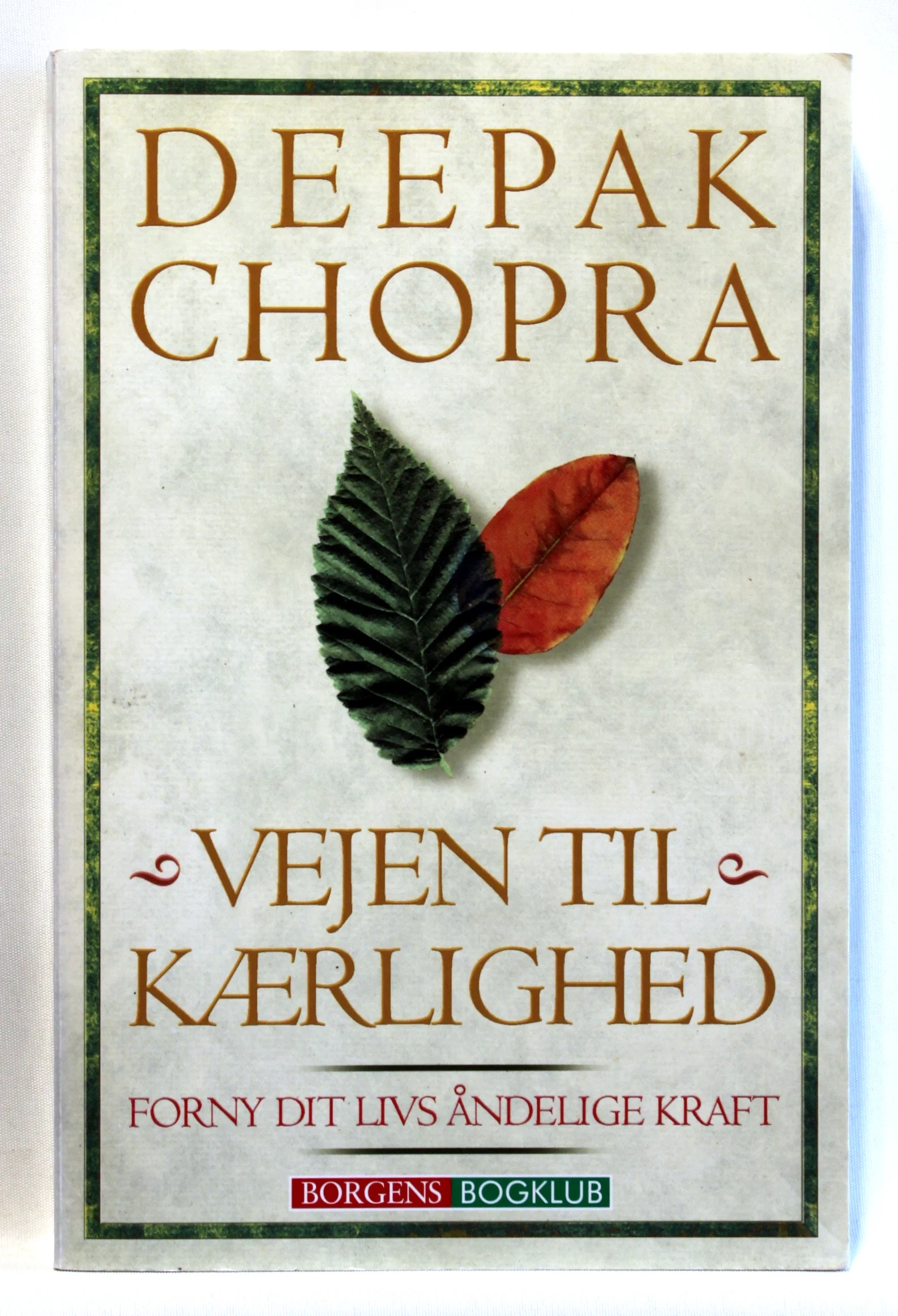 Vejen til kærlighed. Forny dit livs åndelige kraft