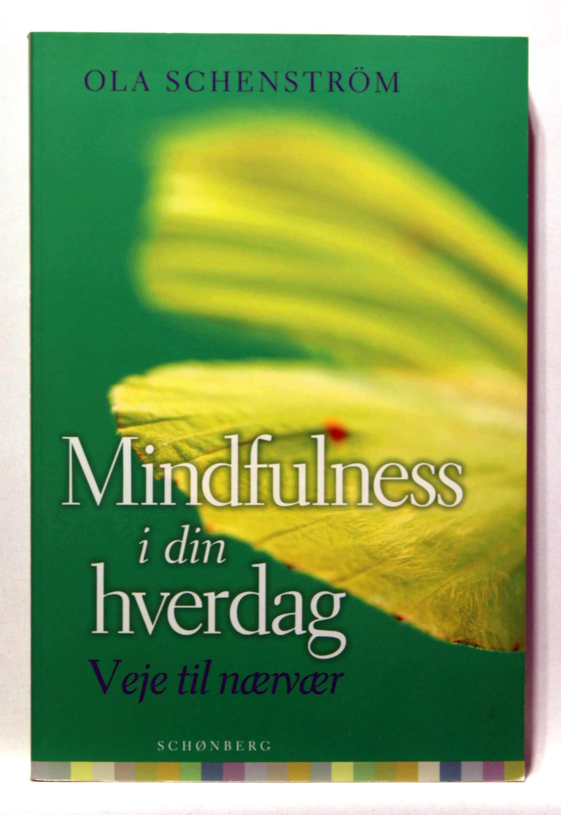 Mindfulness i din hverdag. Vejen til bevidst nærvær