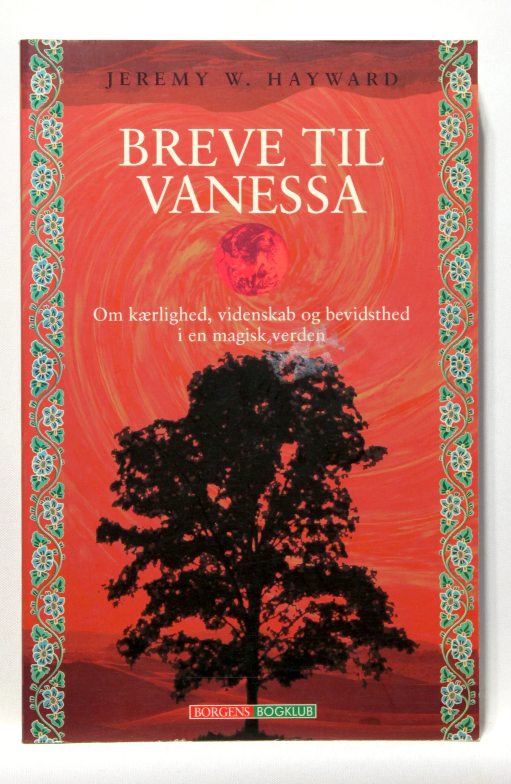 Breve til Vanessa. Om kærlighed, videnskab og bevidsthed i en magisk verden