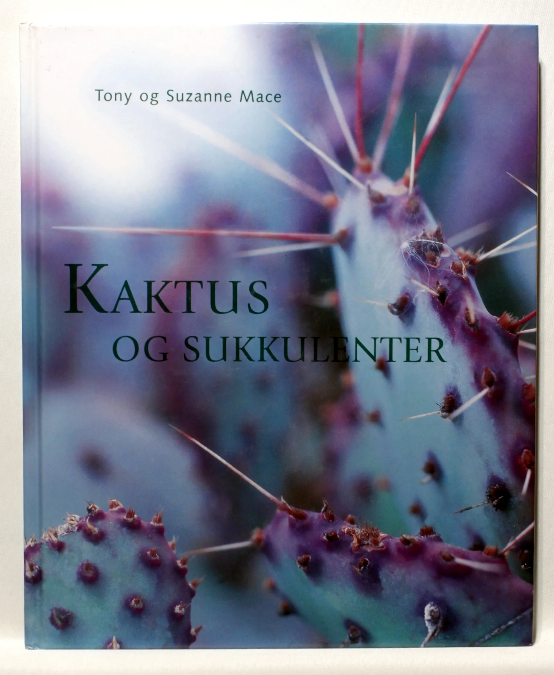 Kaktus og sukkulenter