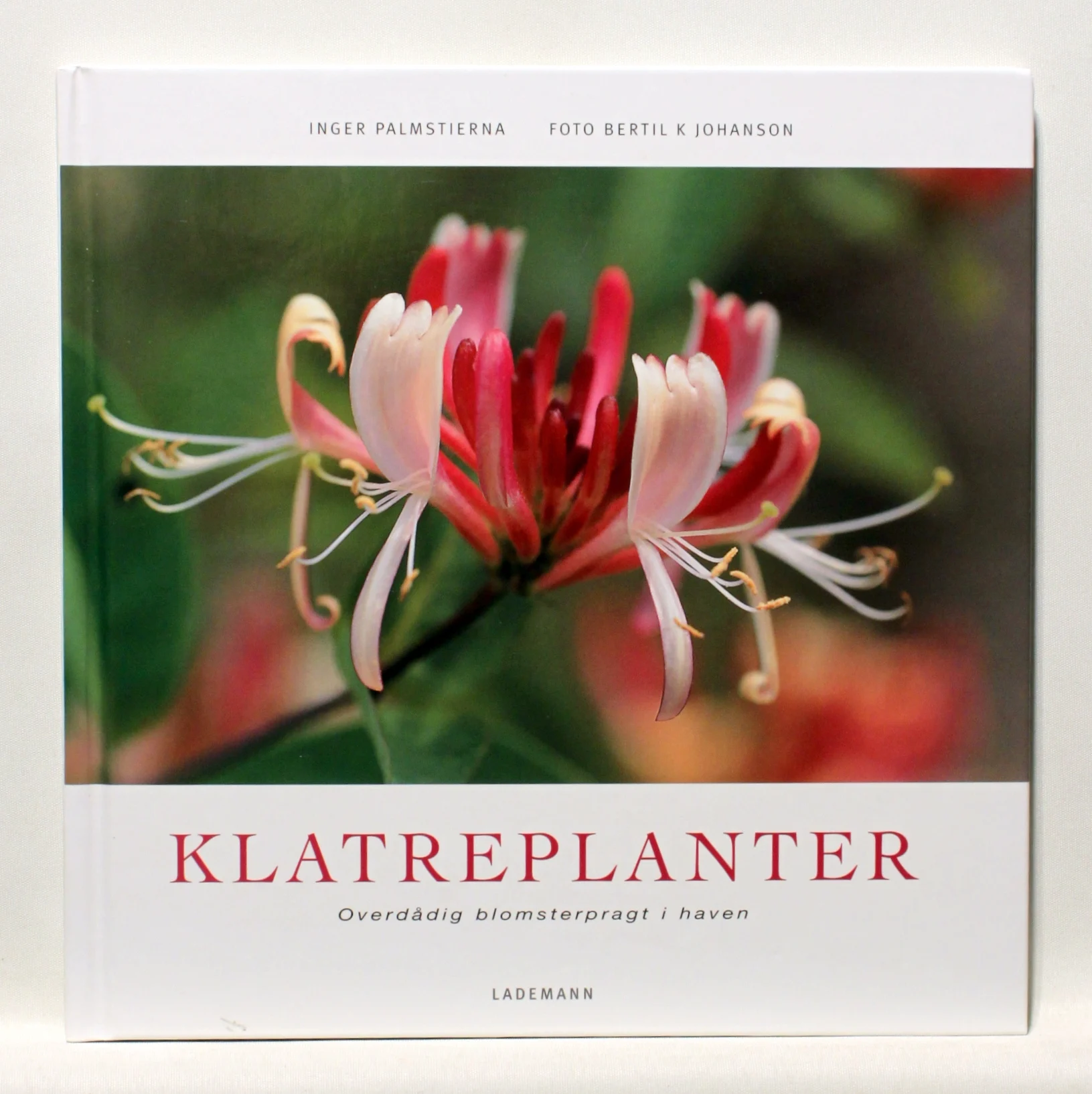 Klatreplanter