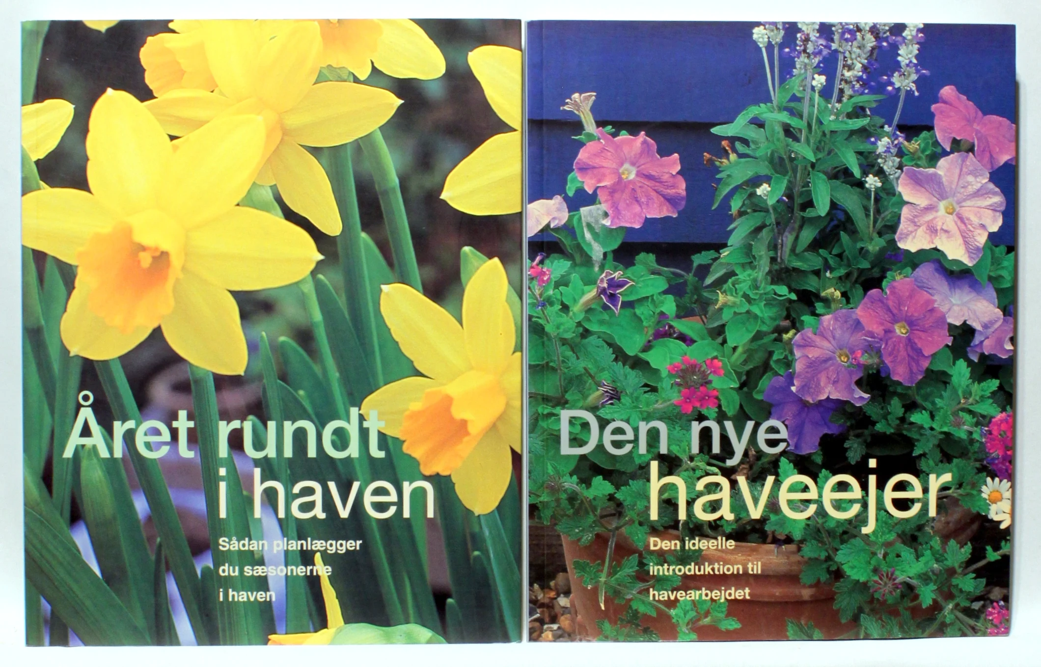 Den nye haveejer. Året rundt i haven