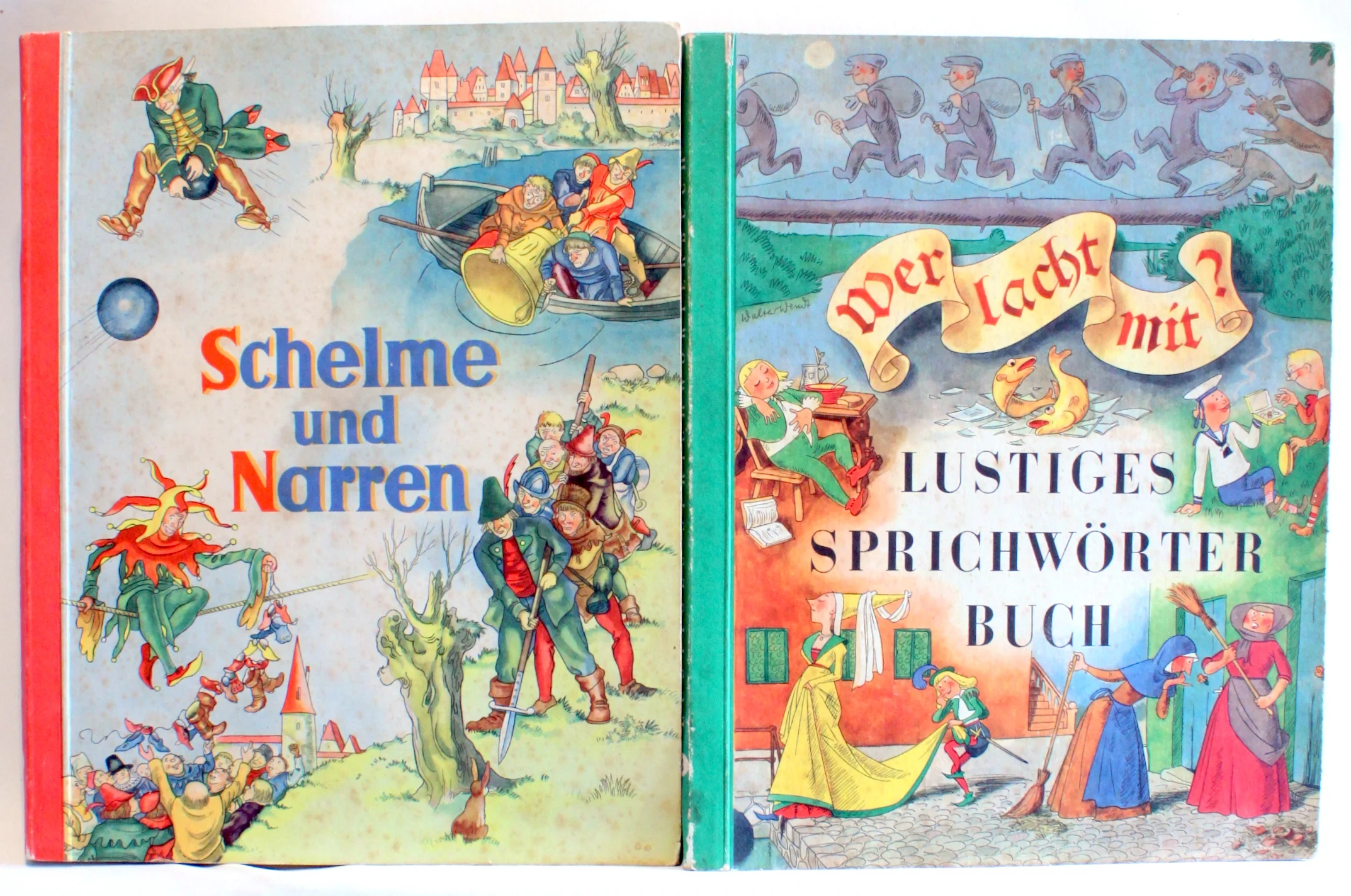 Schelme und Narren. Wer lacht mit? Lustiges Sprichwörter Buch