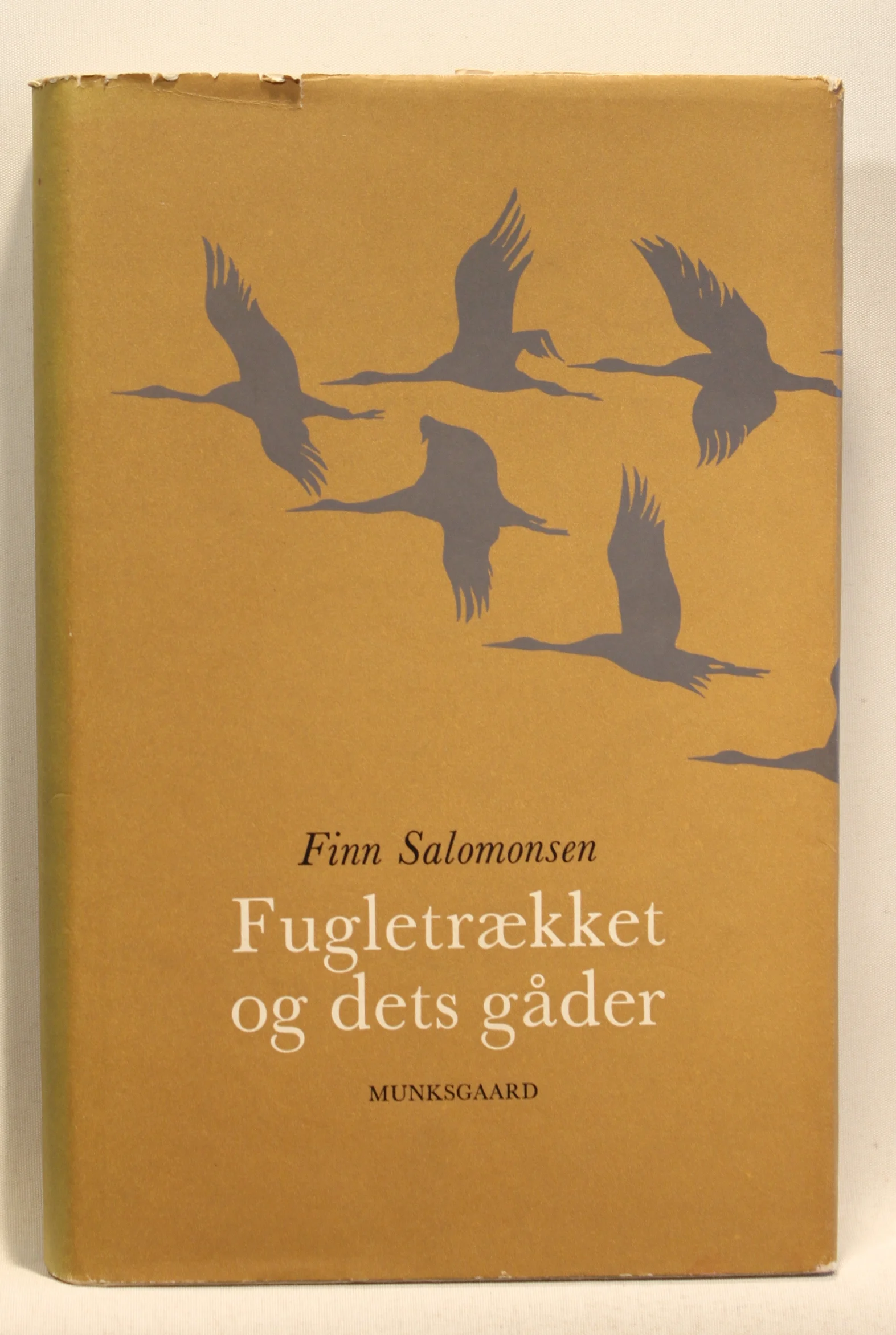 Fugletrækket og dets gåder