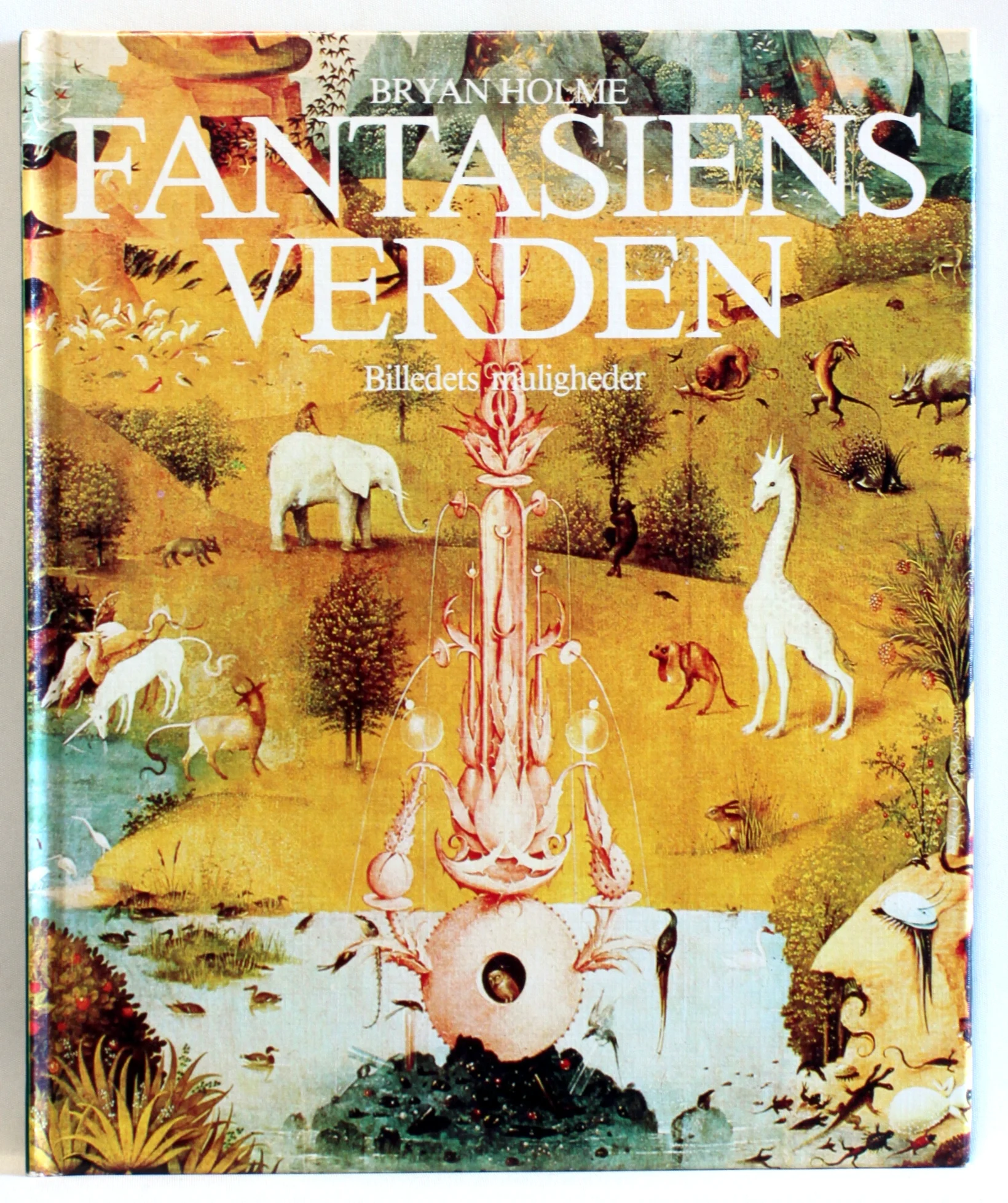 Fantasiens verden. Billedets muligheder