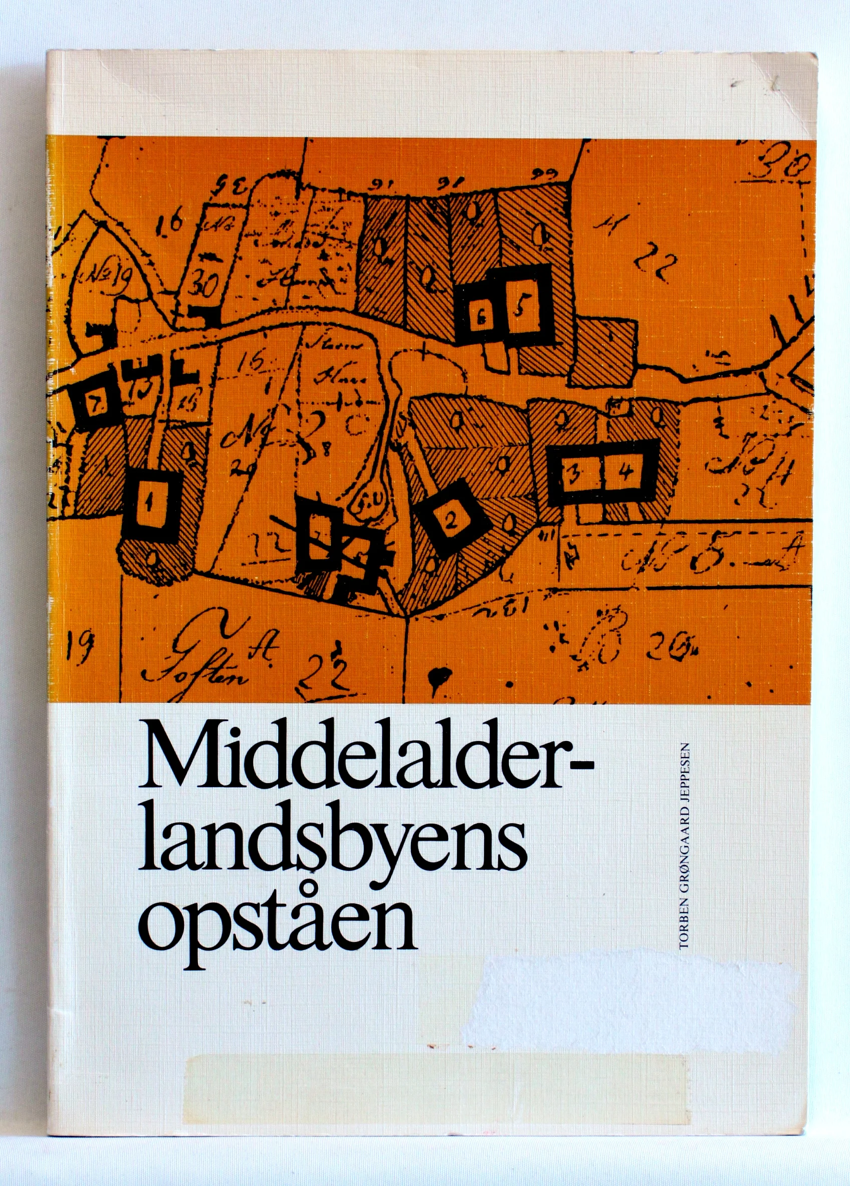 Middelalderlandsbyens opståen