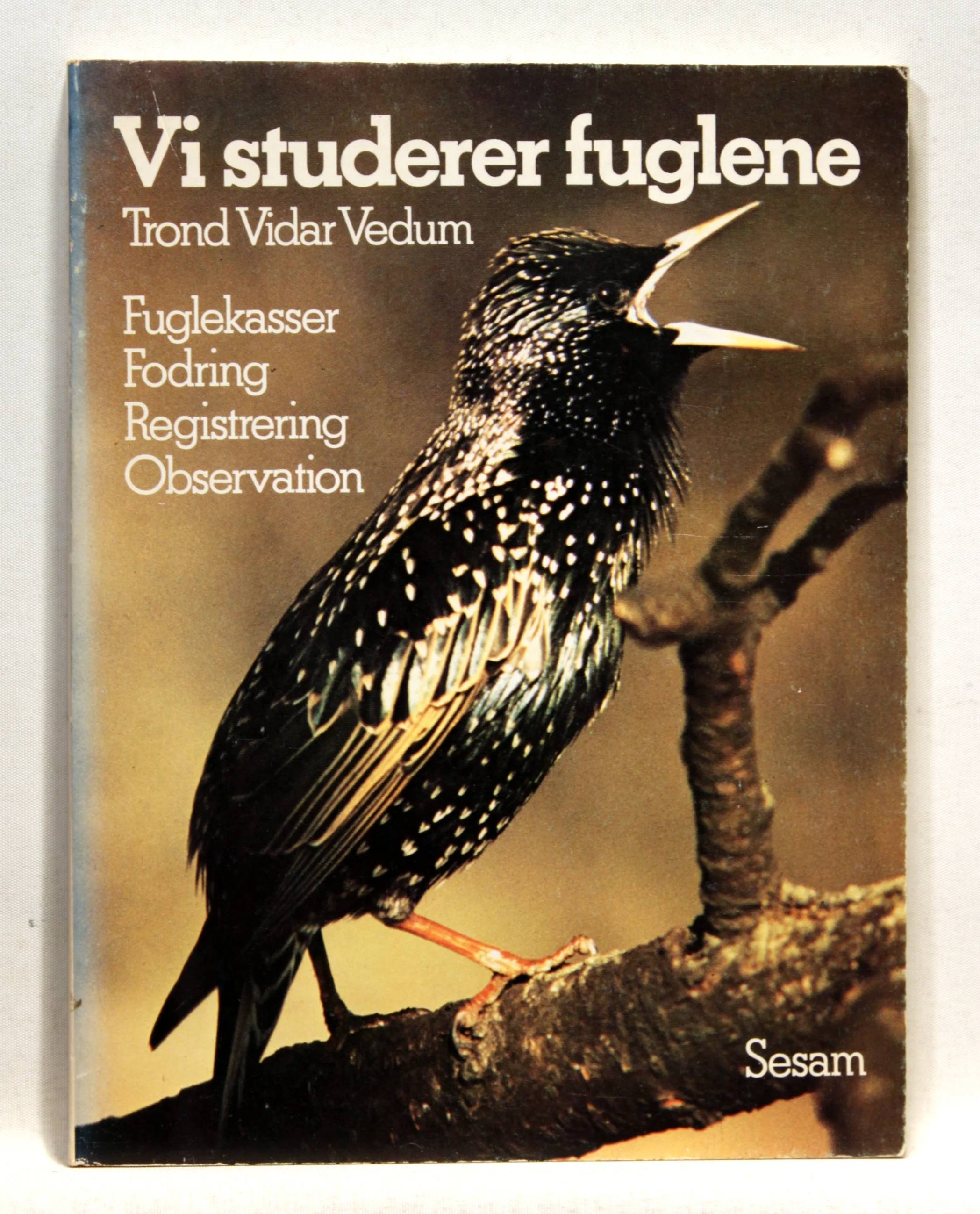 Vi studerer fuglene. Fuglekasser, fodring, registrering, observation