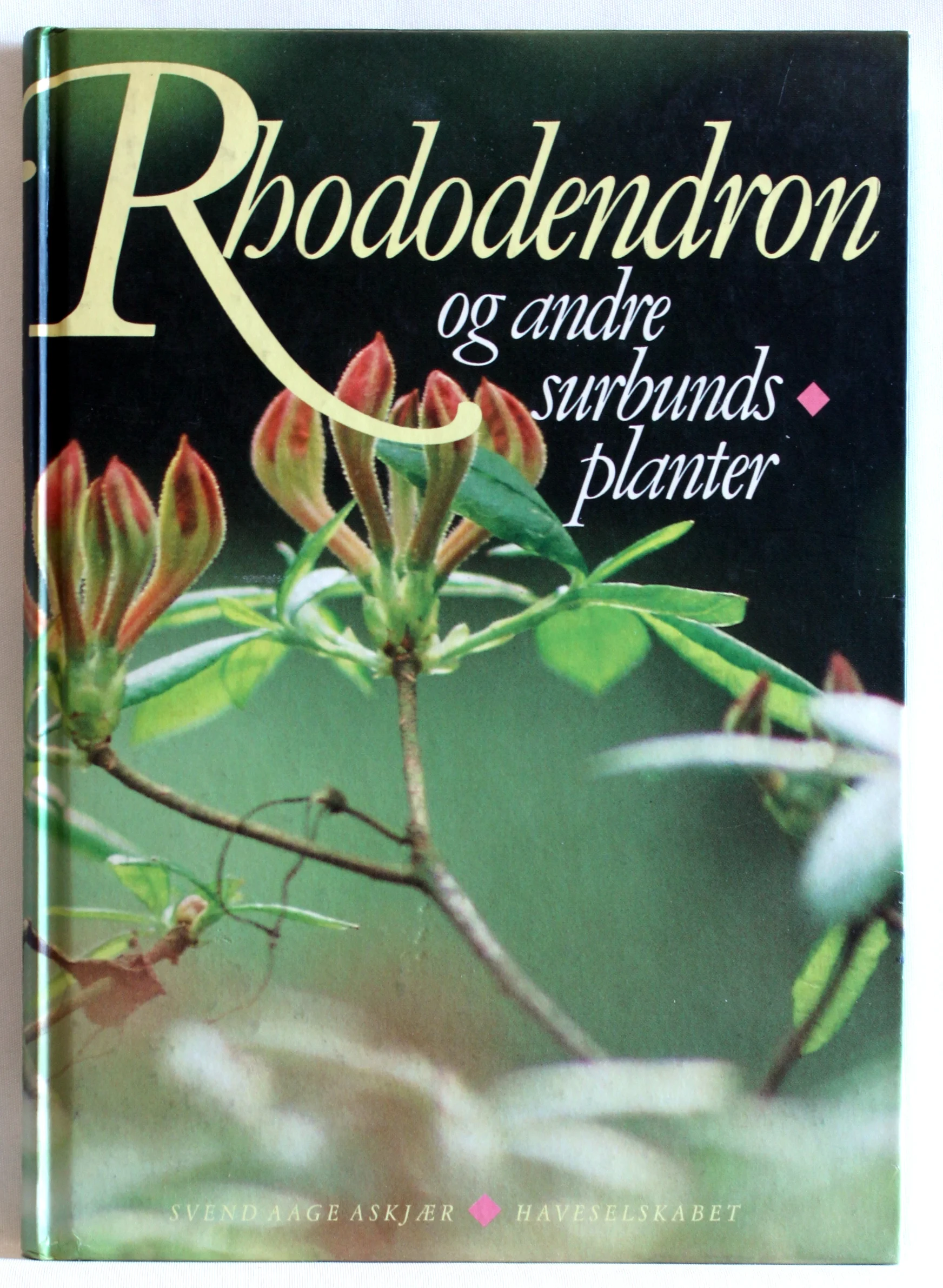 Rhododendron og andre surbundsplanter