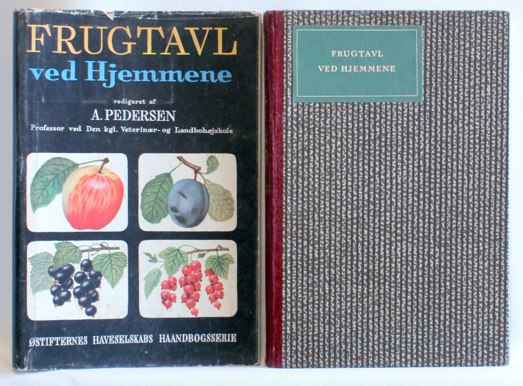 Frugtavl ved Hjemmene